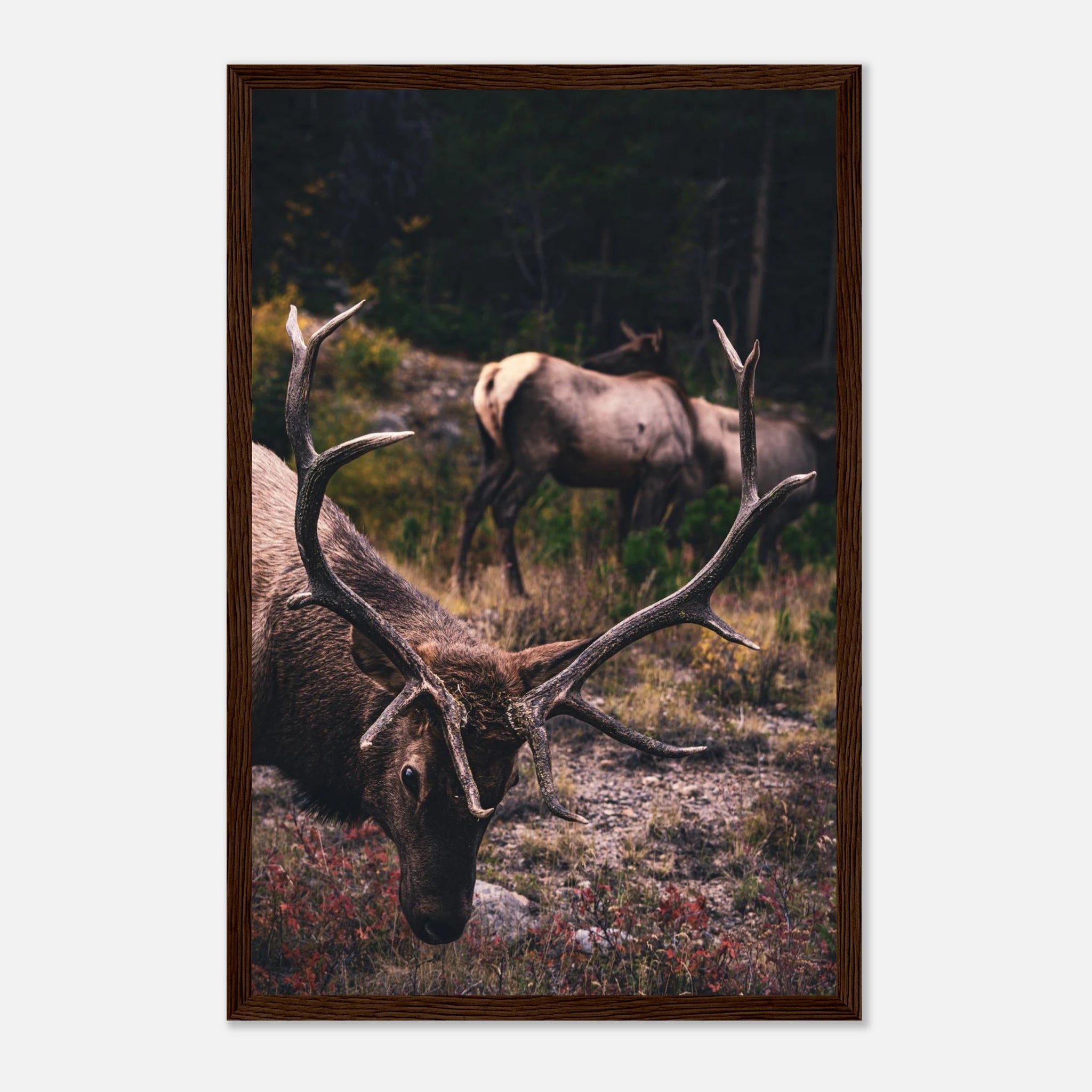 d97020be-0095-4a8a-9a6d-2112c6589483