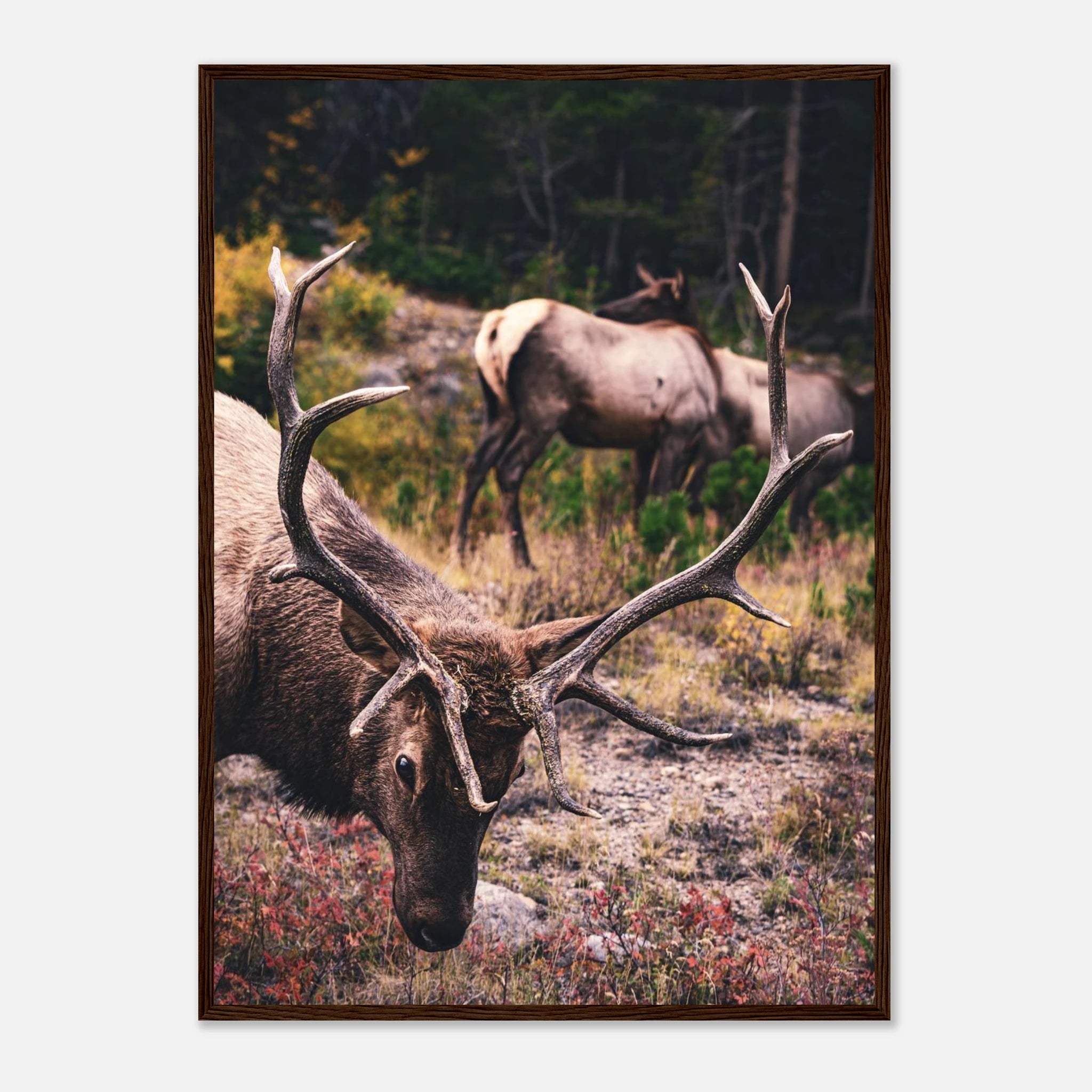 d9c7aa8e-9da8-4e95-8a5c-61c8b3435ba1