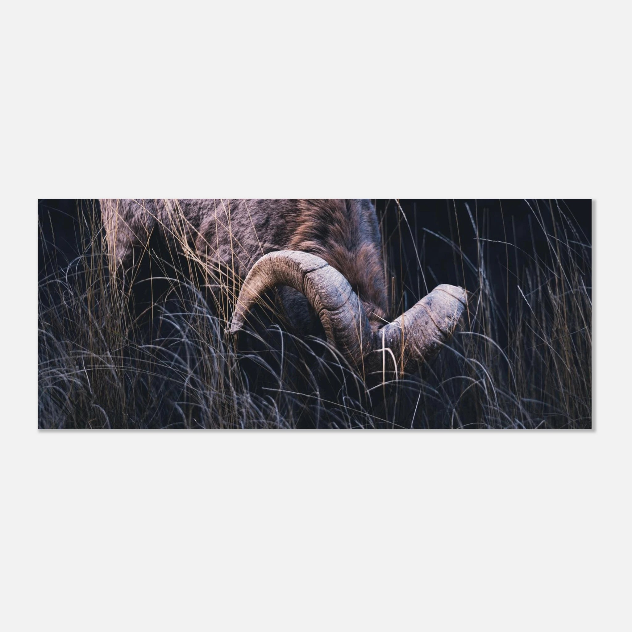 da00be25-cfad-4fde-bee2-121658f8523c