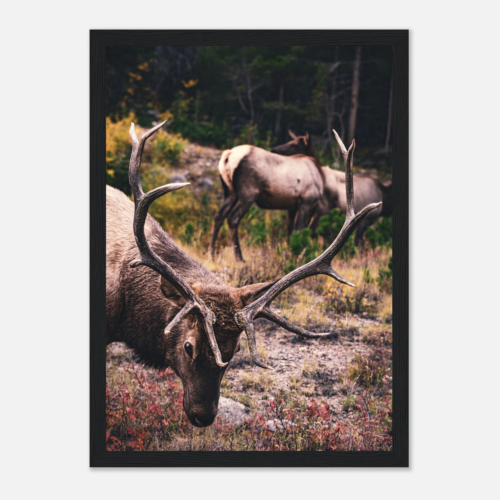 da3d717c-d38d-4e3c-ad2a-f9b3c73bfc47