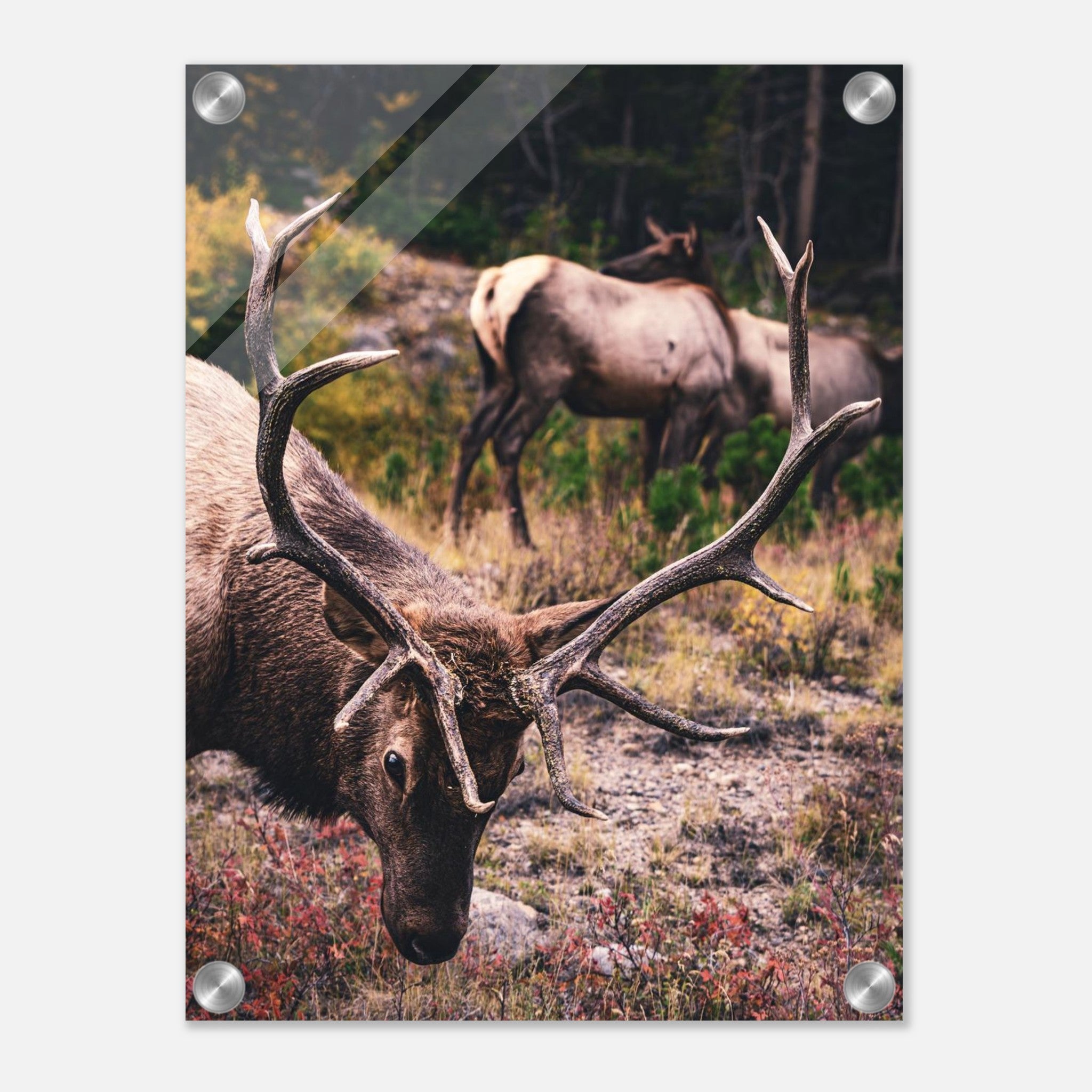 dad18ec6-8d8e-4846-a261-ada0c5be8626