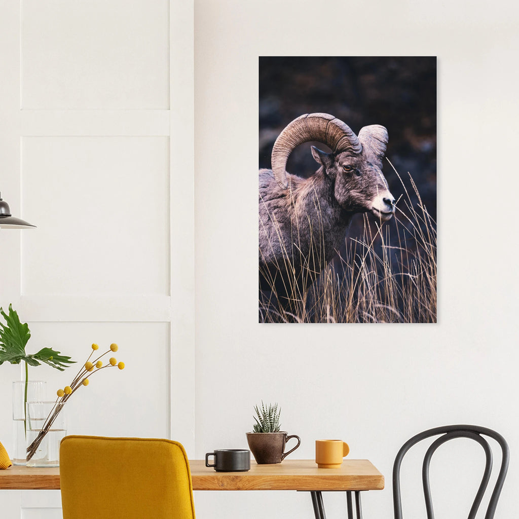 dcb67973-9040-4e9d-b233-87af6808012e