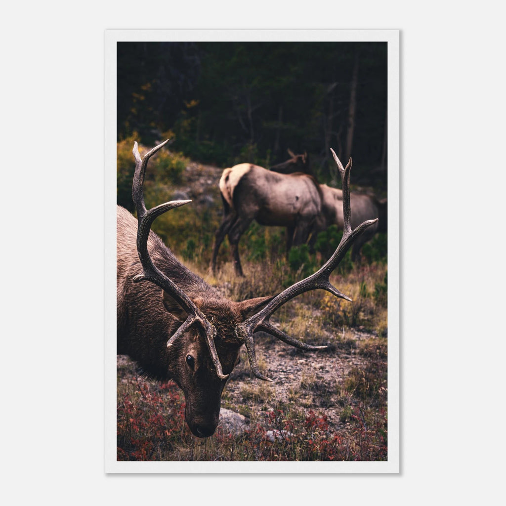 dcdfd366-3fde-4b7c-94c0-129121ebc9b1