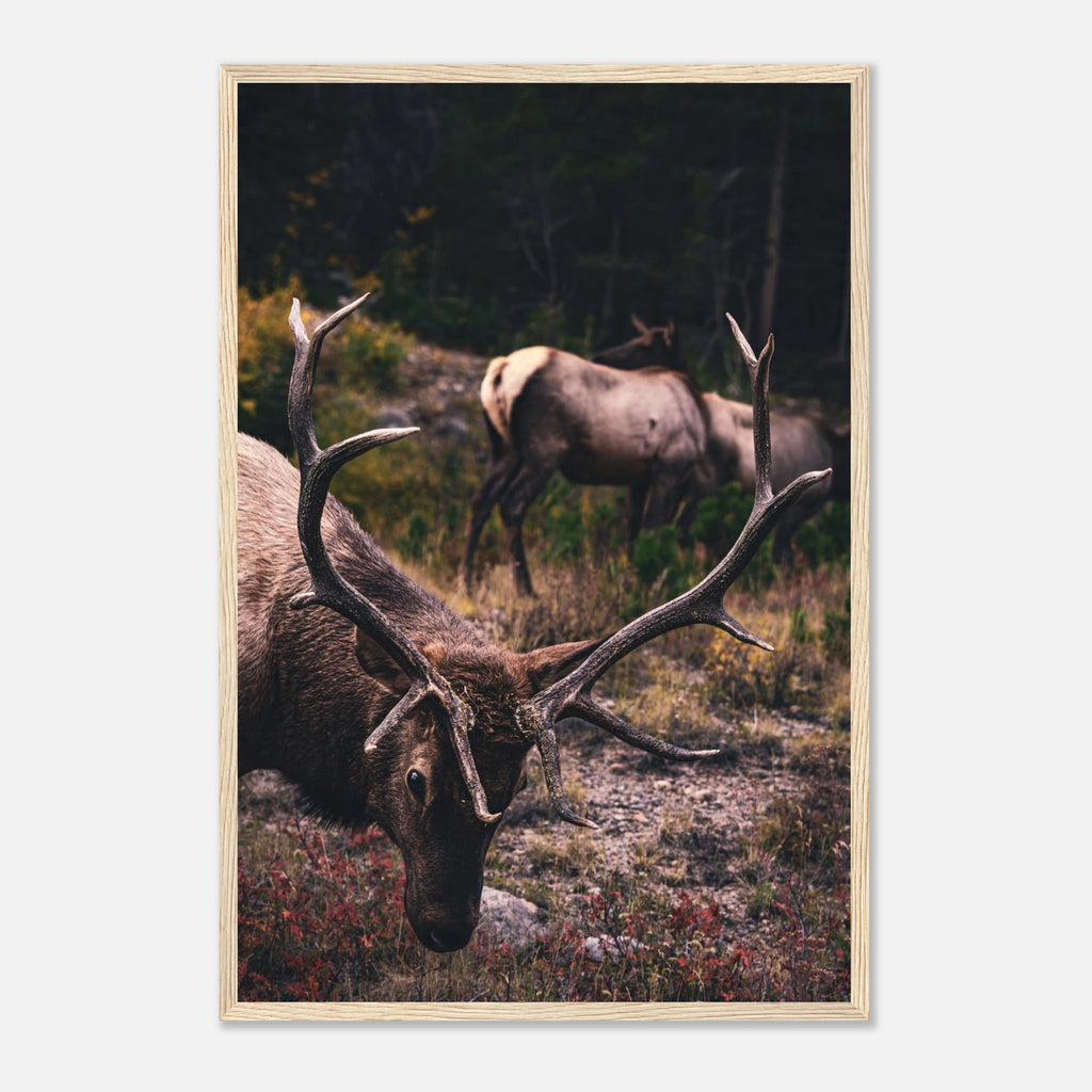 dd6c44cc-75c0-4cb8-86ce-c9c07617d294