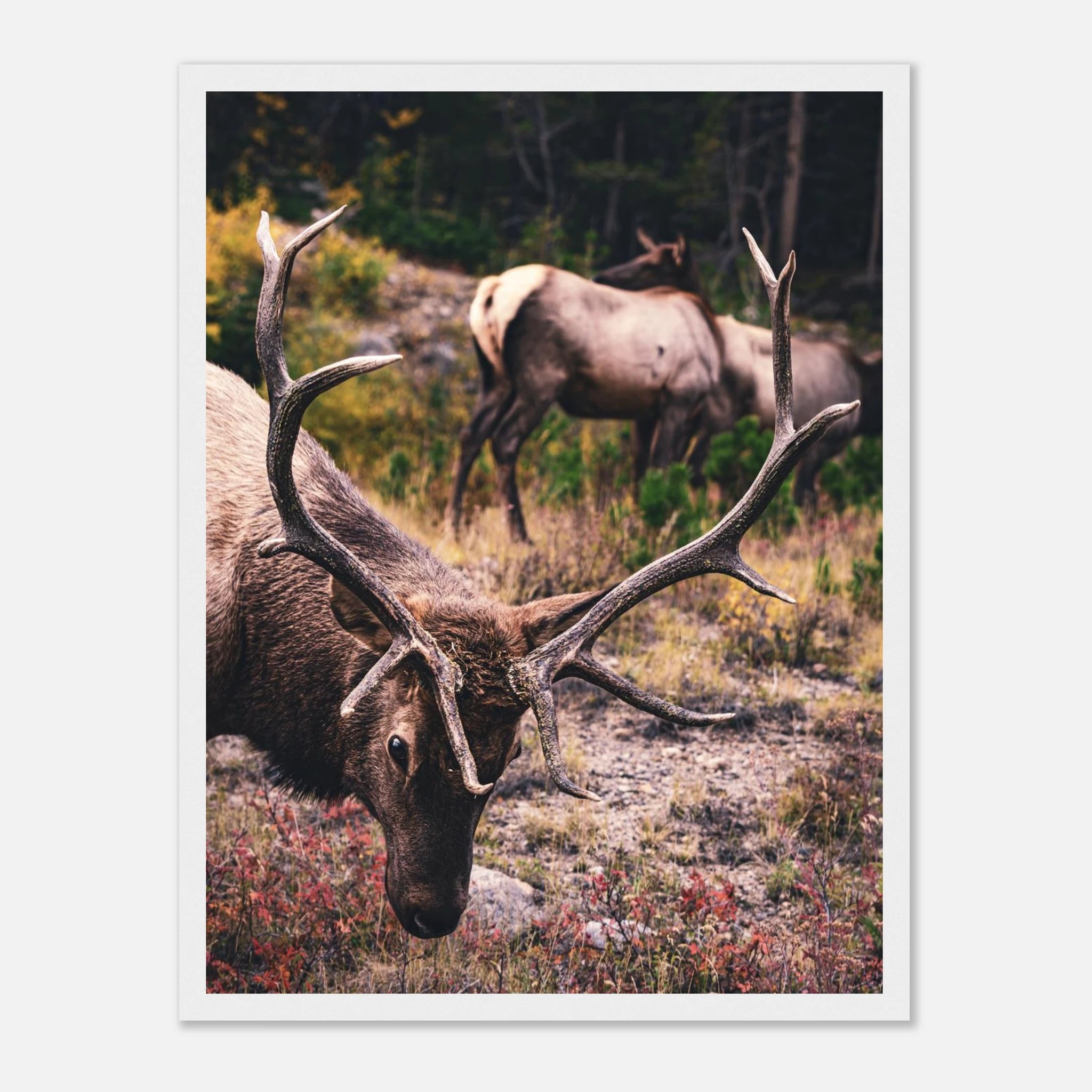 ddaff593-974e-4b5d-a462-7a92cdab5e05