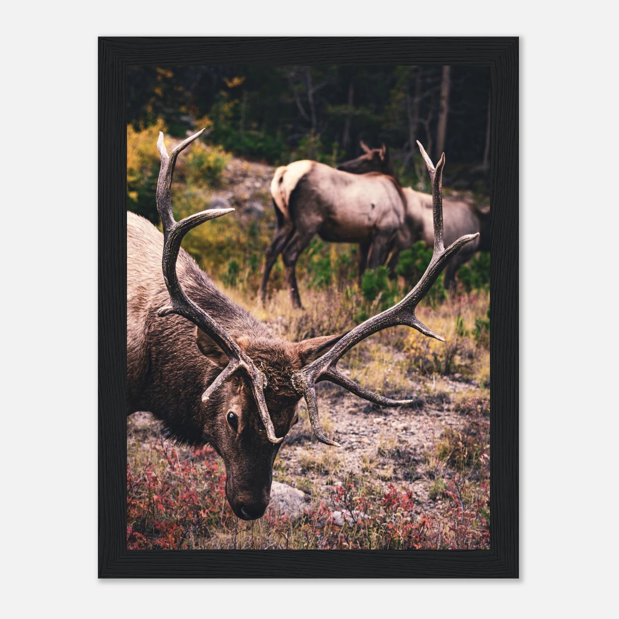 de96b138-508d-40c3-910d-e5c5d7a3b145