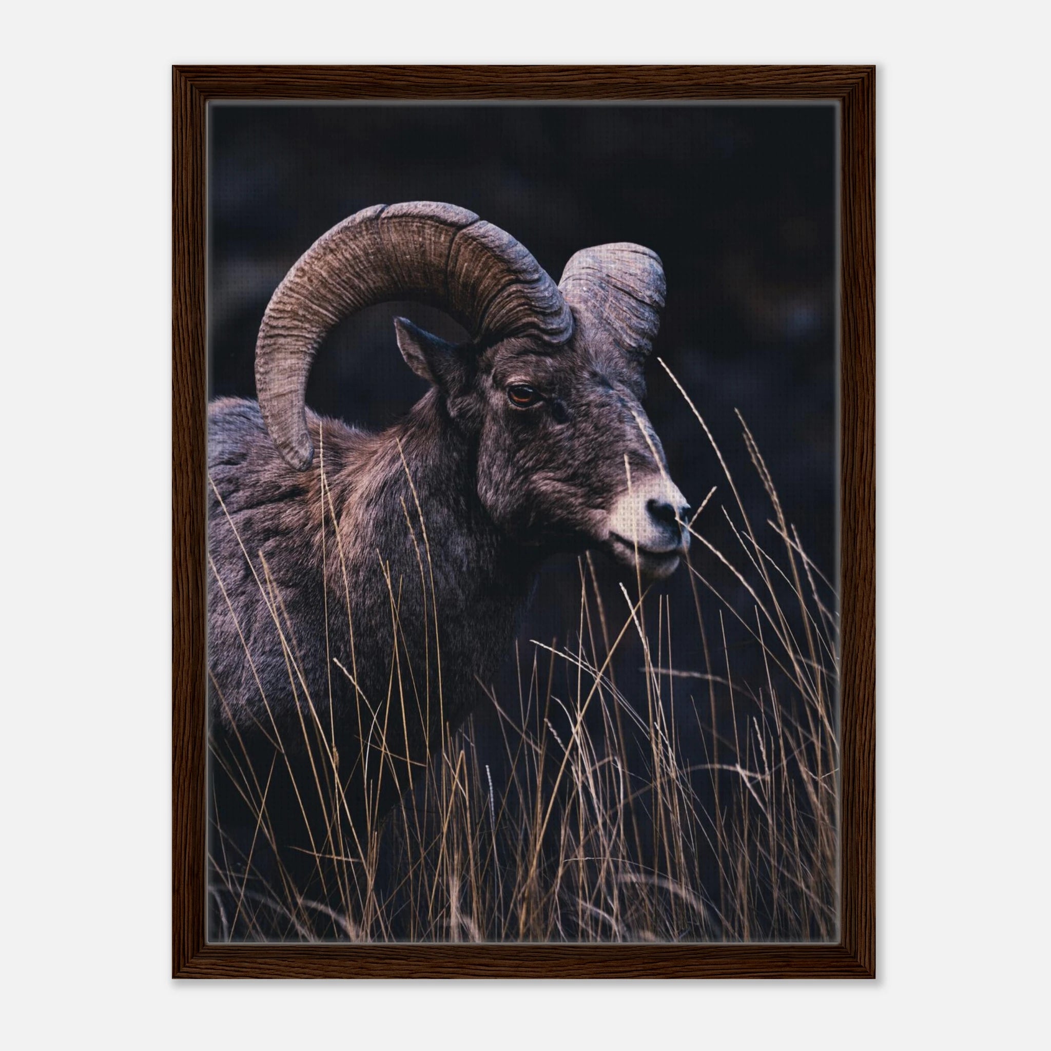 ded10553-c134-4fab-8c0f-7382aeeb9aba