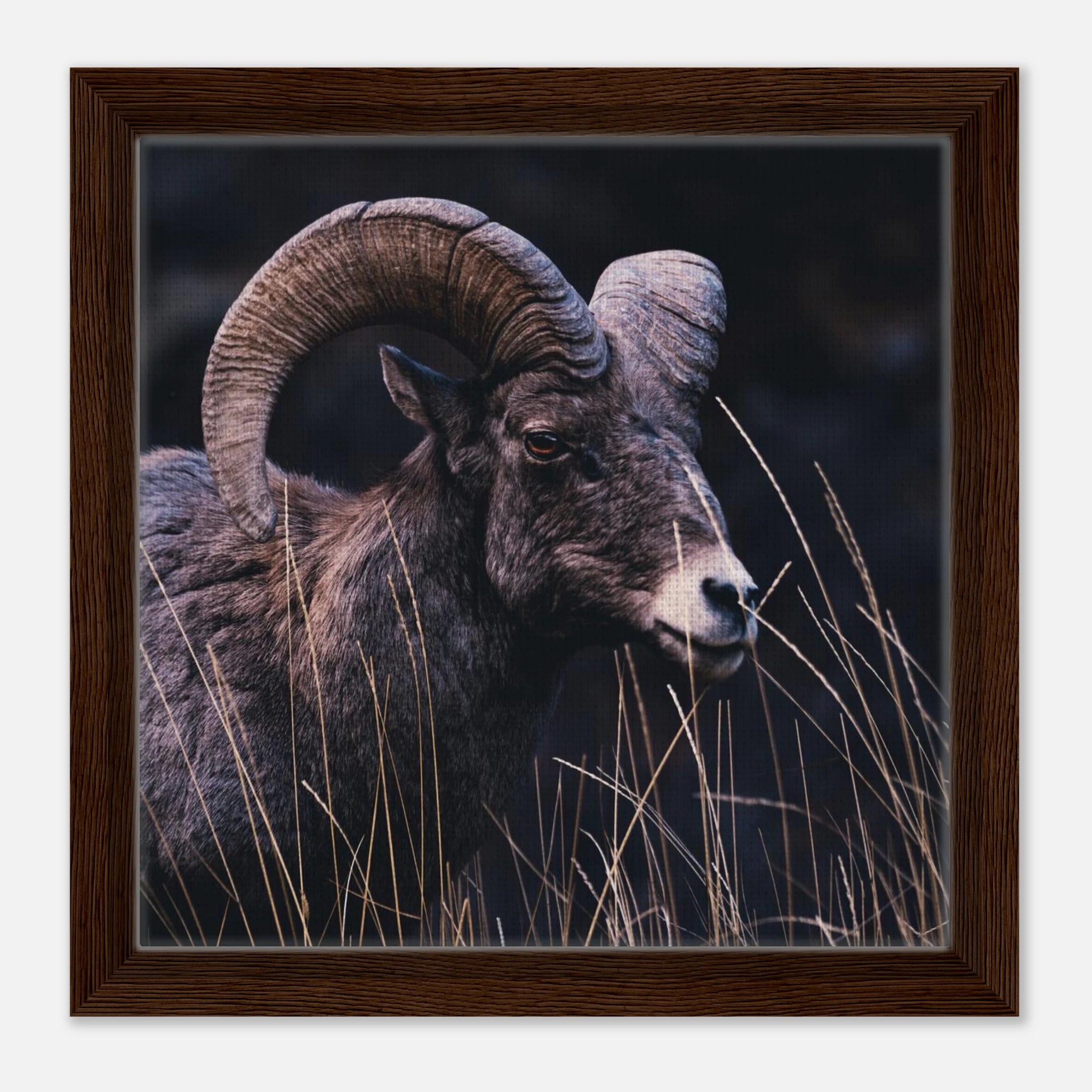 dfbf622d-881e-457a-a02b-d3f8ad0b1fdb