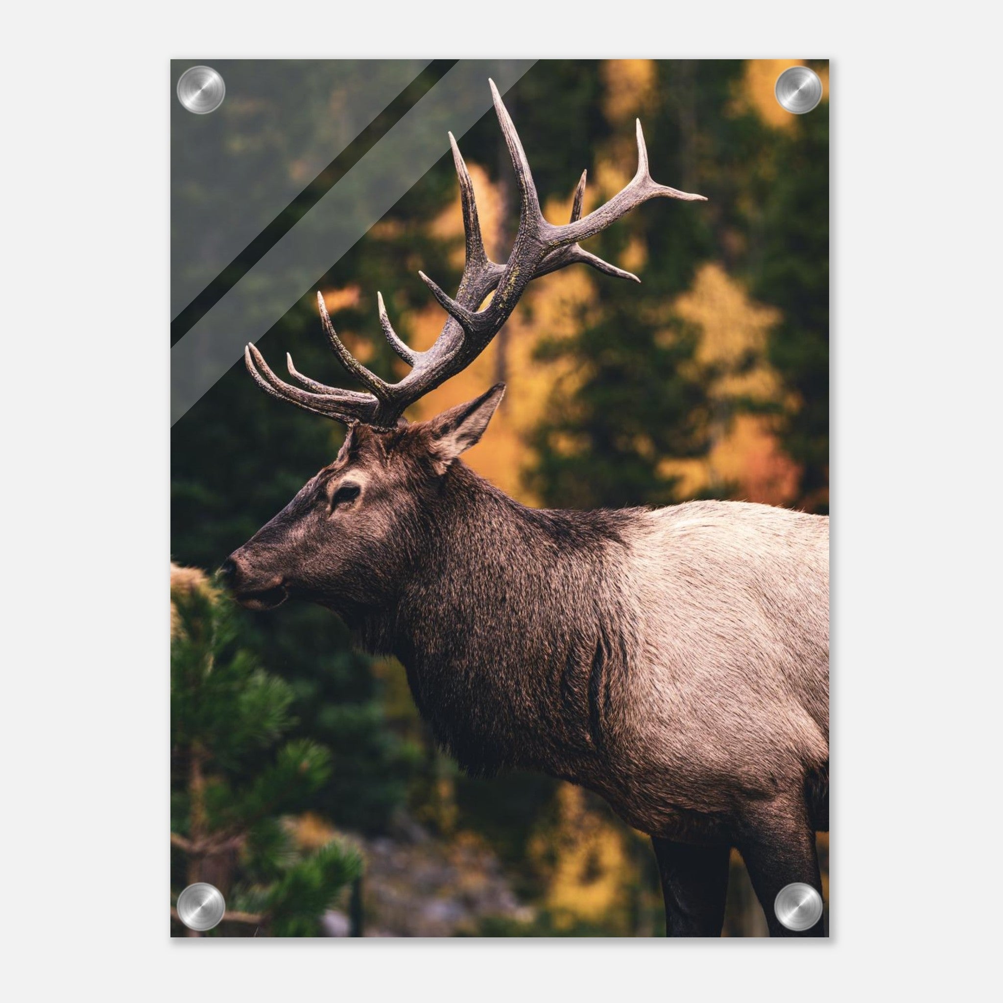 e02d8477-bc08-4b6d-9248-4f72963c7171