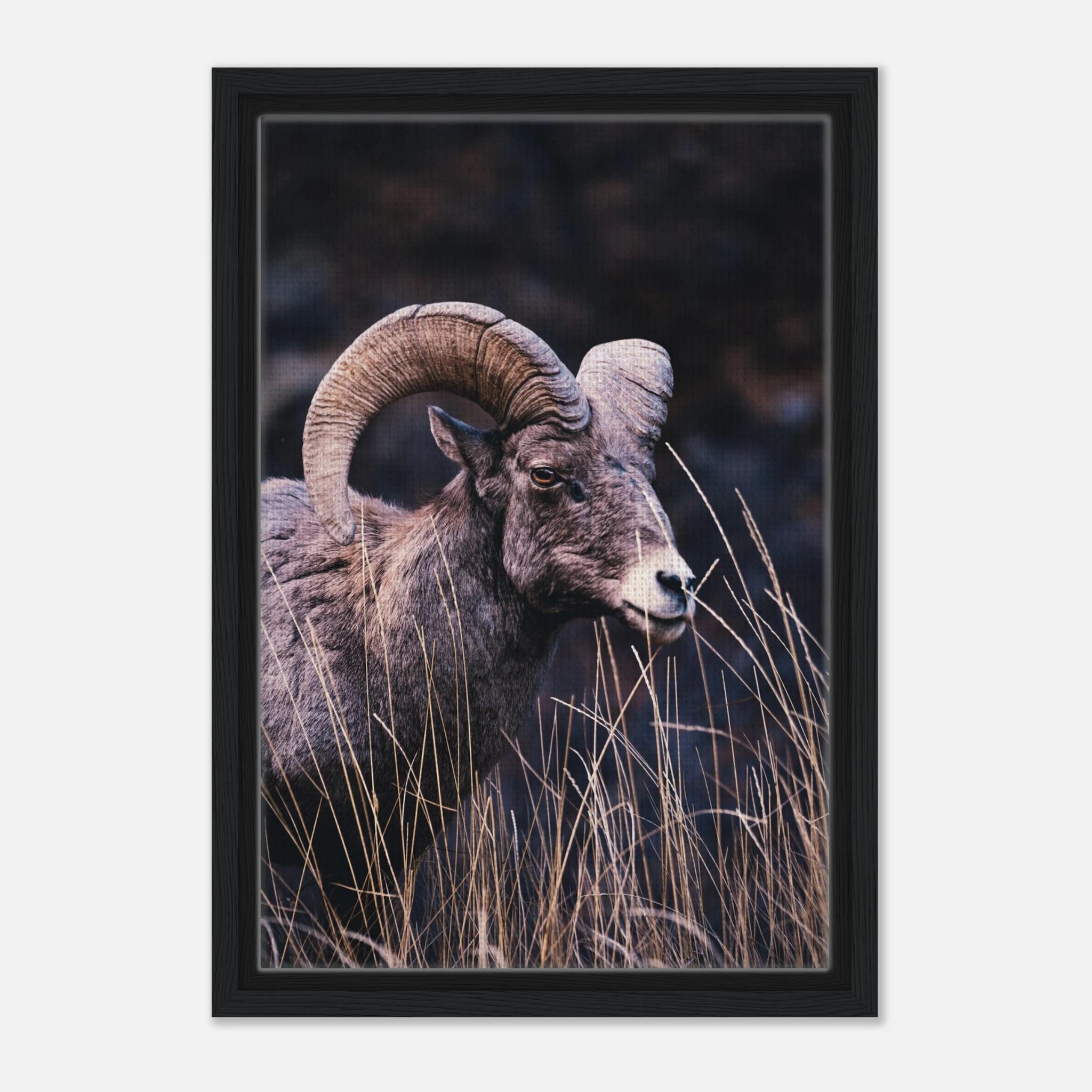 e036a114-1c7a-4223-a4aa-b3c42e883125