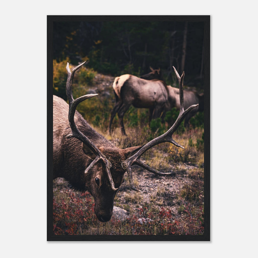 e0ff3023-bdec-4ce0-9738-be047ccb3d3a