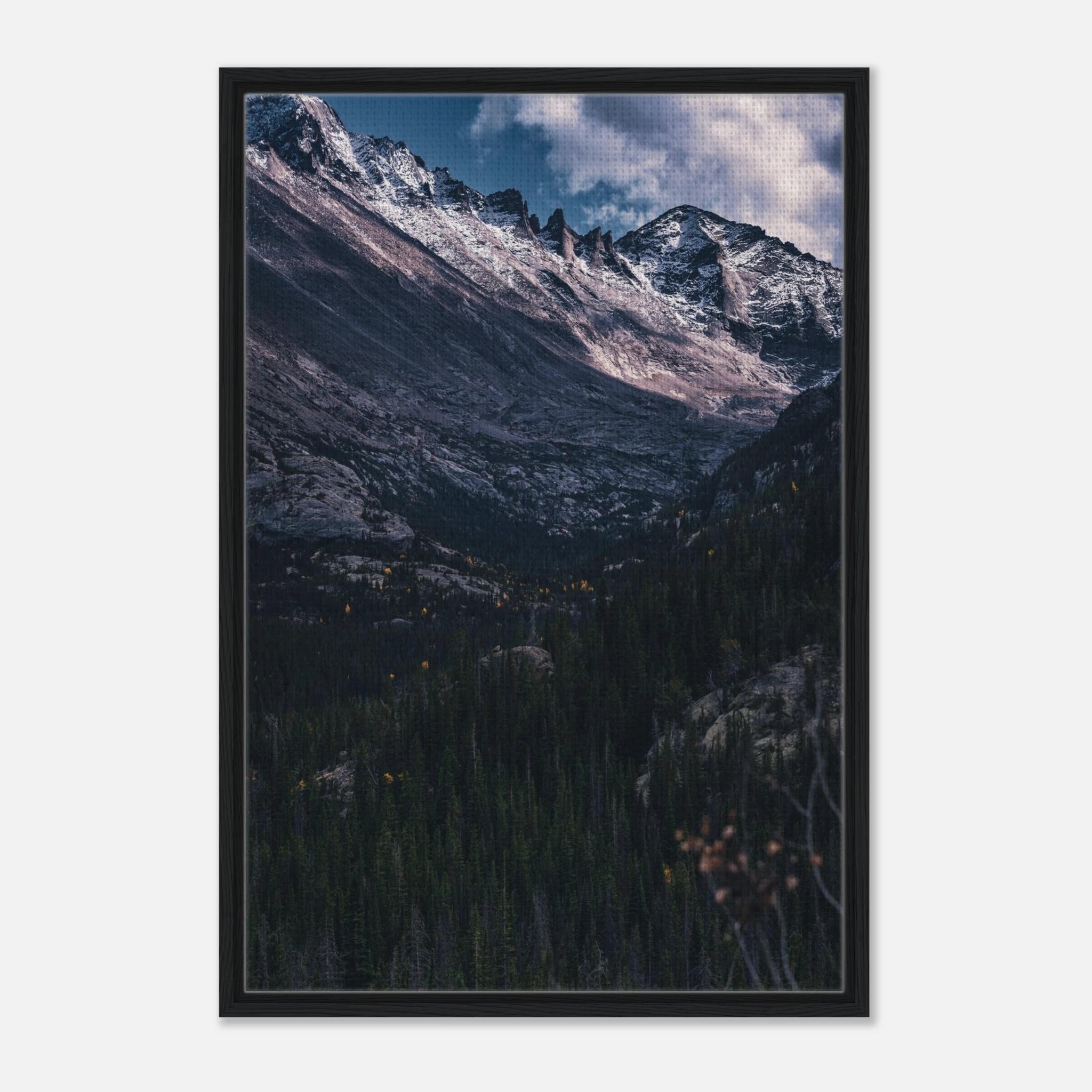 e1155a01-769f-49a6-9369-65e4a23dac18