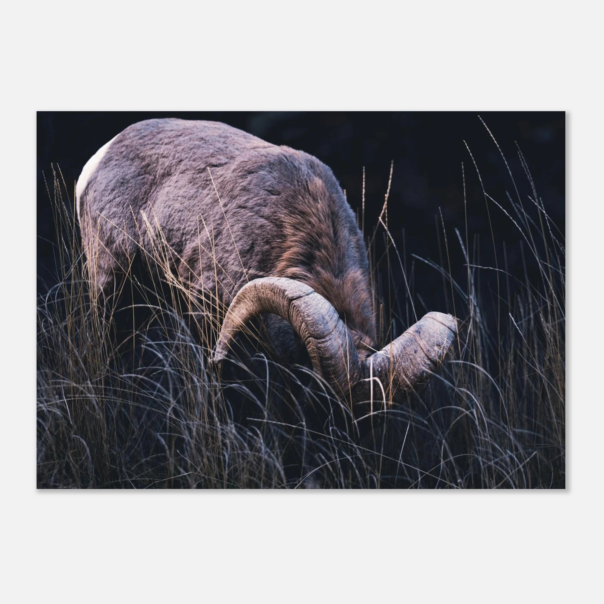 e1994a92-bd69-4f17-a8fa-454cb19d6c4c