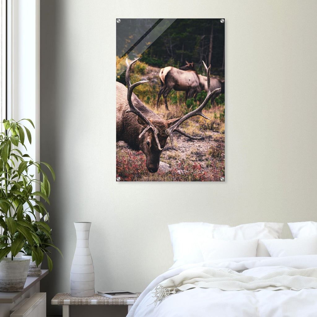 e23f3a02-4efb-4db3-ad2a-a577c090931d