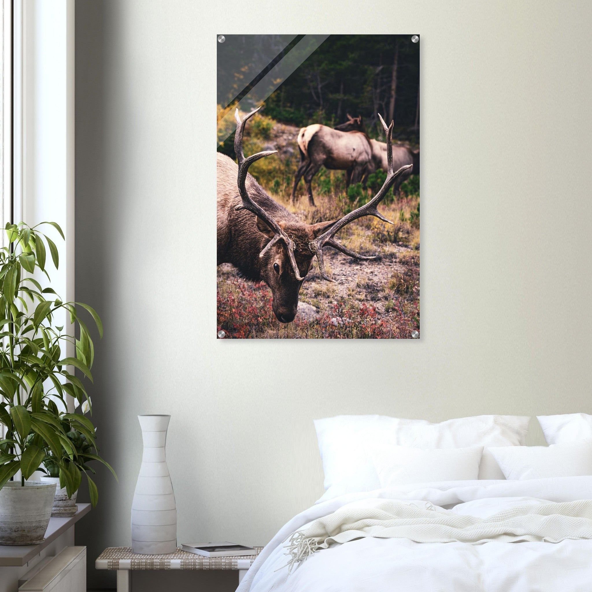 e23f3a02-4efb-4db3-ad2a-a577c090931d