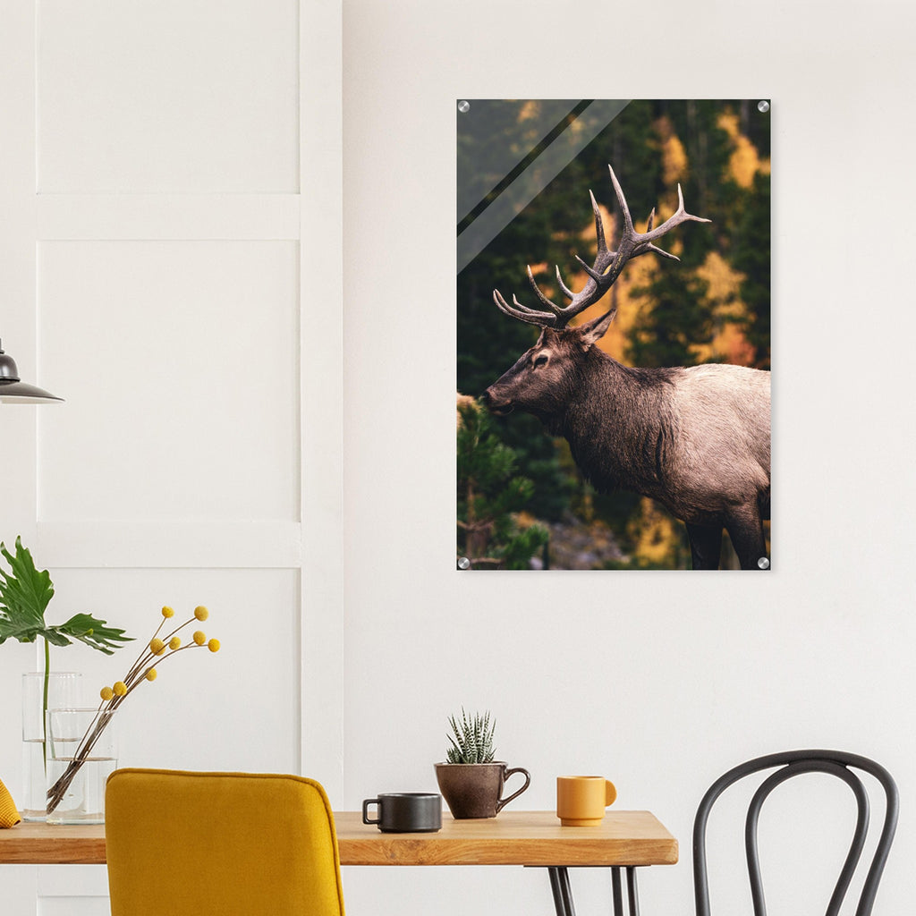 e474b4cd-63ad-4c09-987c-50b20a02af86