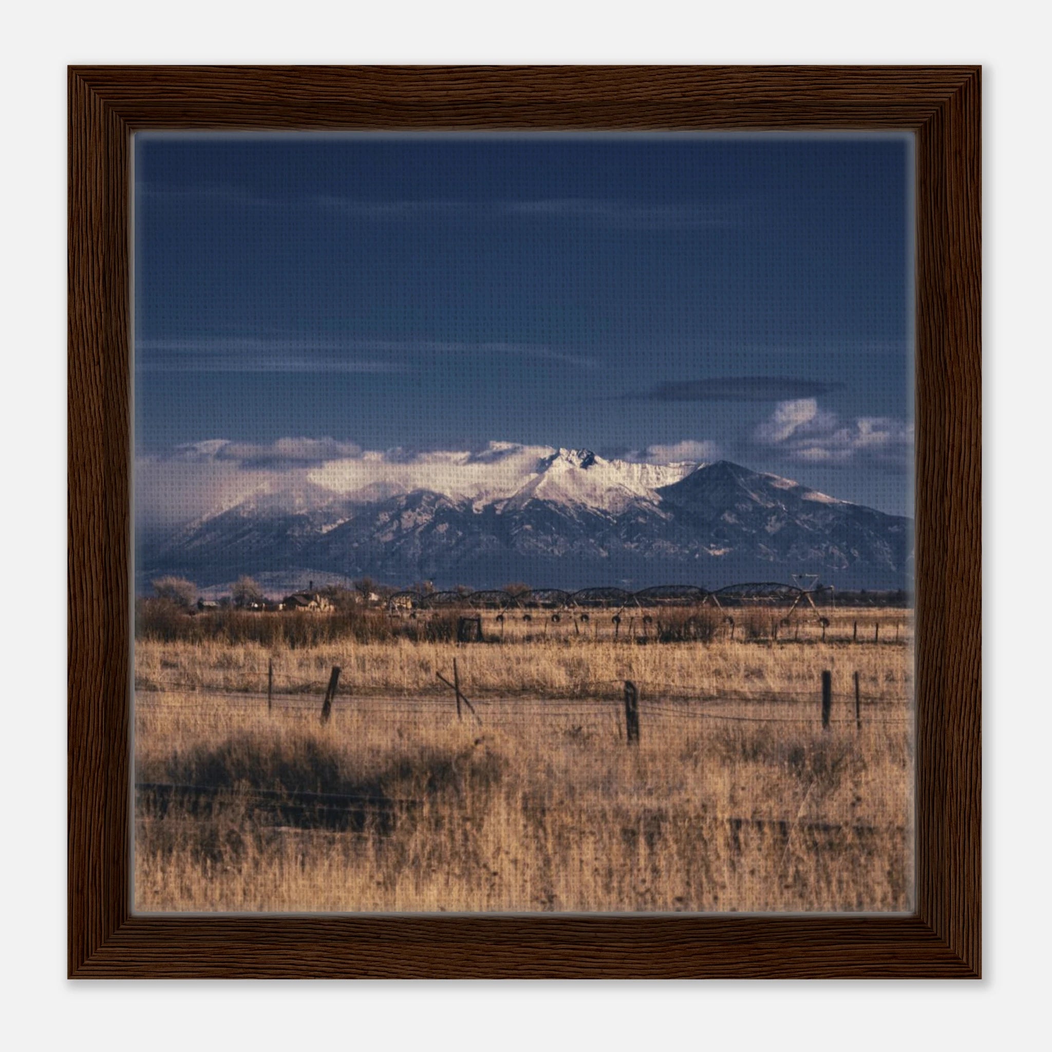 e5486468-7586-494a-a46a-8bad340d44b4