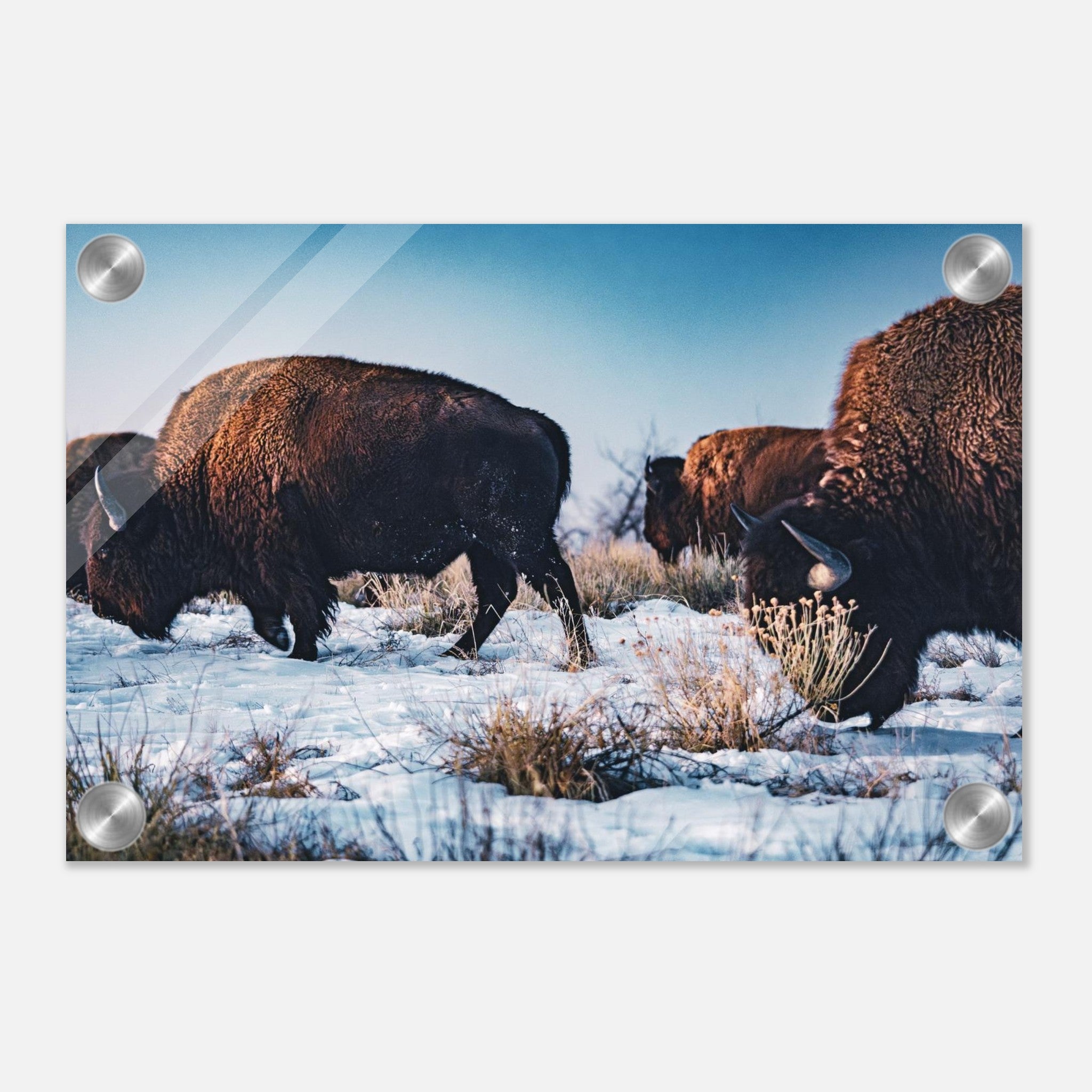 e5a5962d-7985-4fc6-9838-24ada0c73d5b