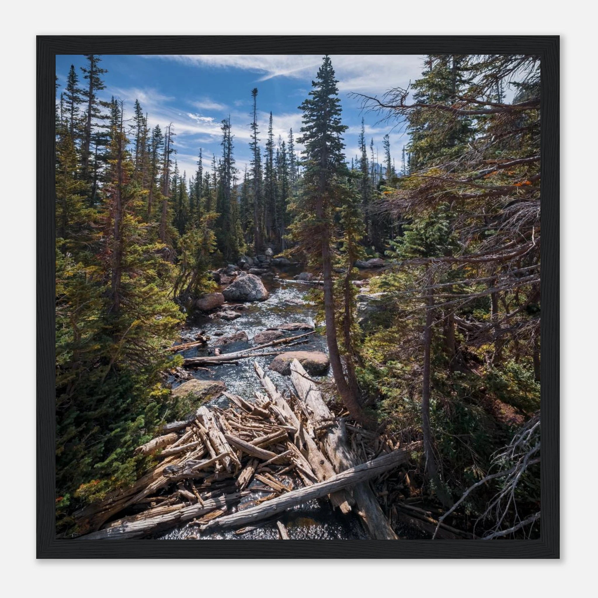 e69ded6b-a940-4e8d-9ffe-cf8bbd3be899