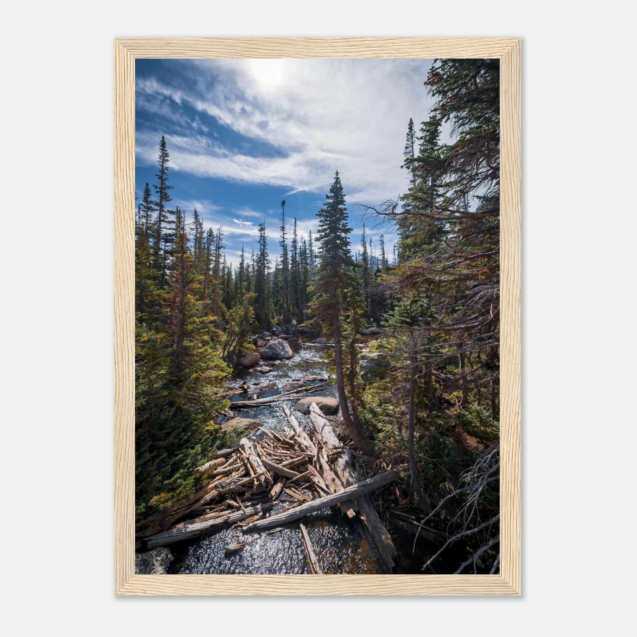 e6d59ccf-0c4b-4ead-b4bc-d127e74f0e38