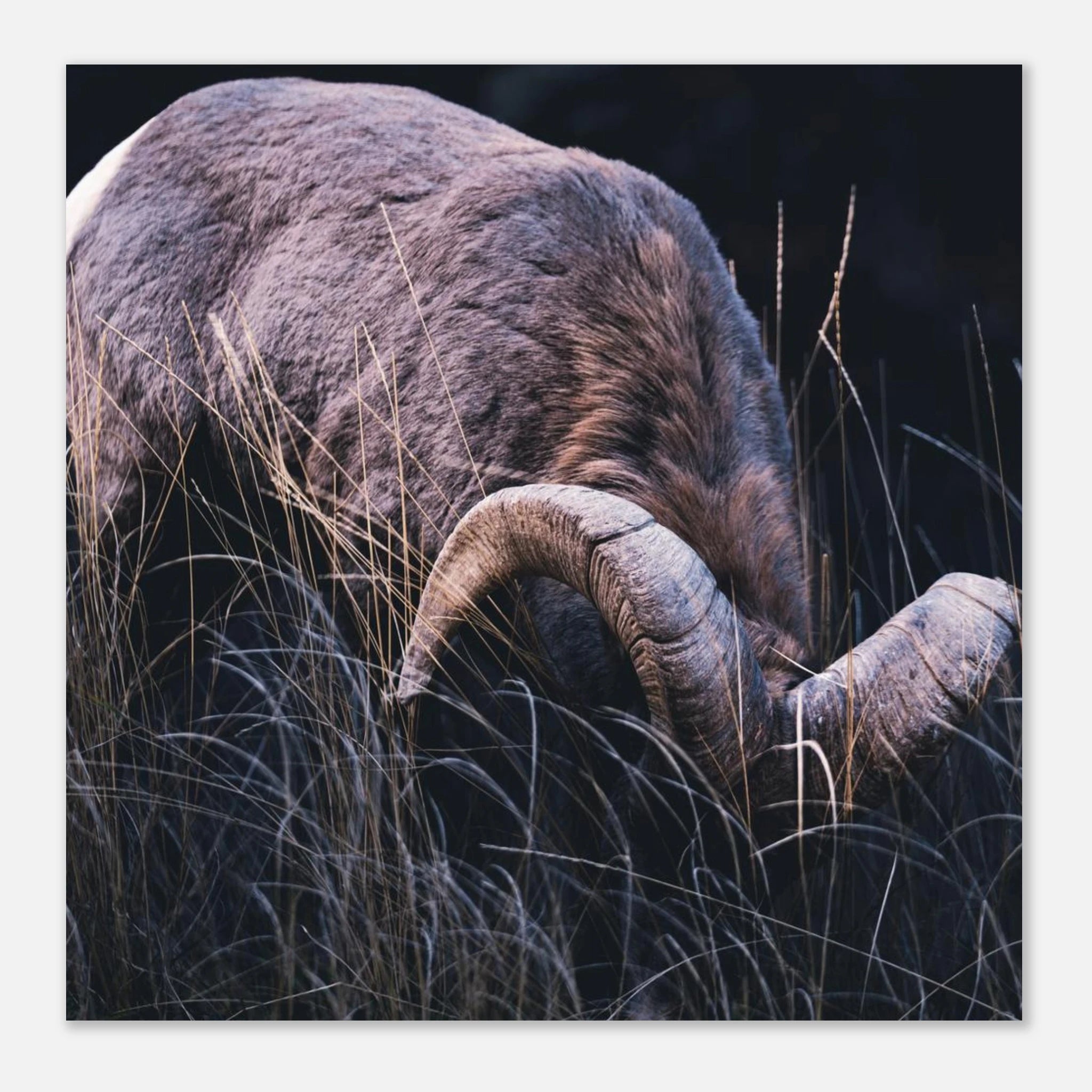 e72bcee2-36f6-40a5-86e4-32c8d8972b98