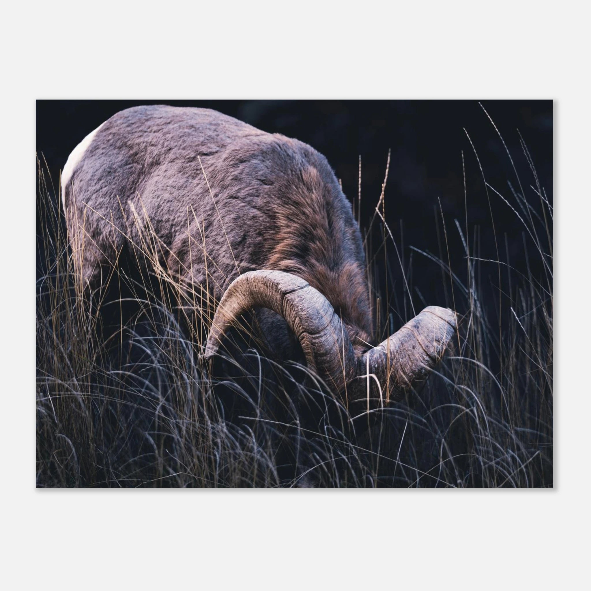 e7d08ceb-cf1f-4f63-ad76-1b9d3b1d539f