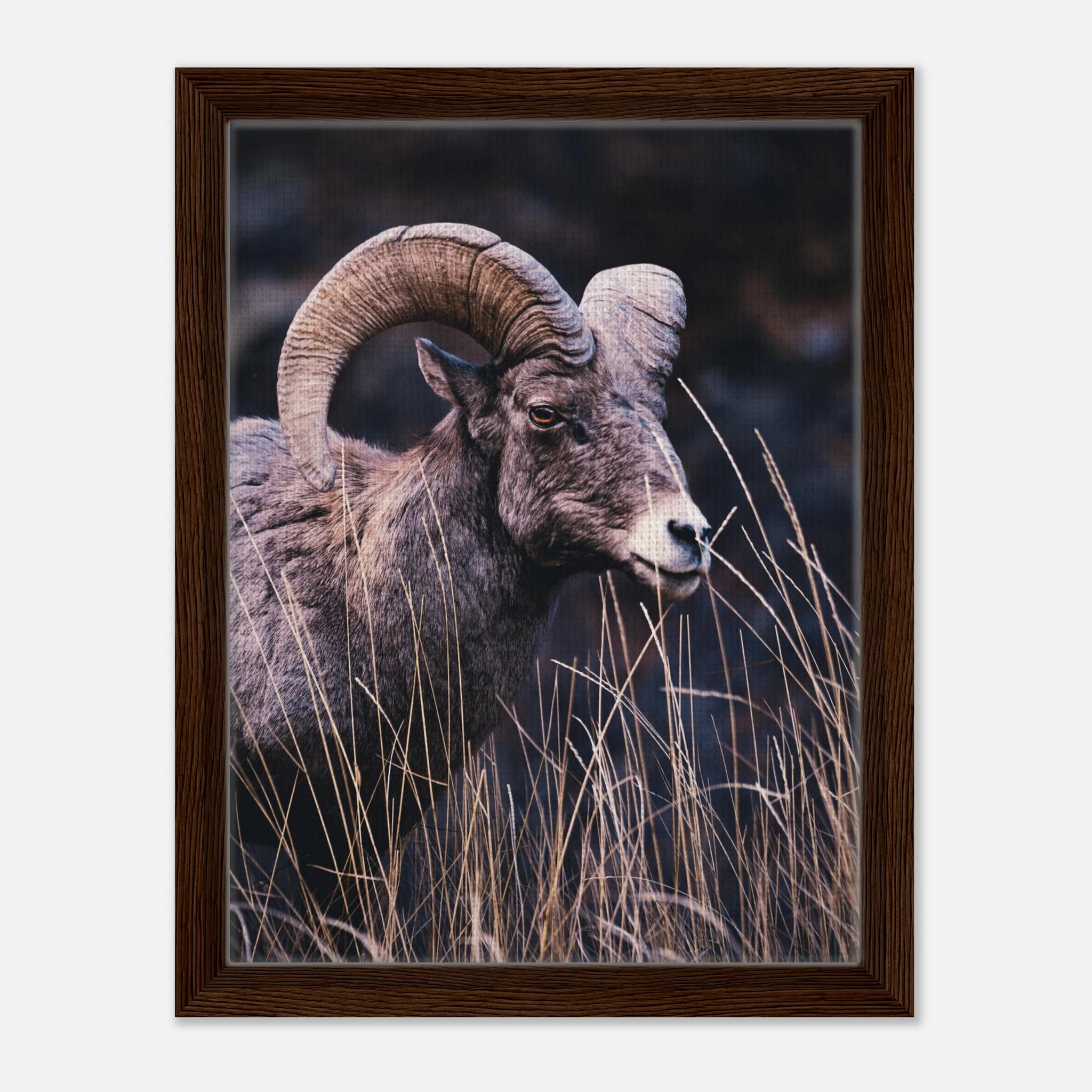 e8030971-4ab2-46d8-80b5-61c6a931e0e6