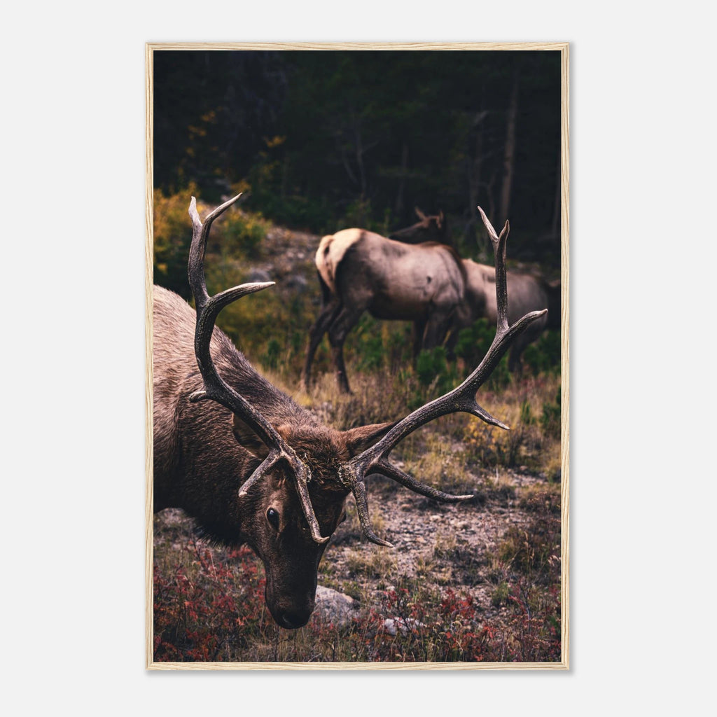 e8a3f5e9-cc83-481b-97c4-245b9be8ba31