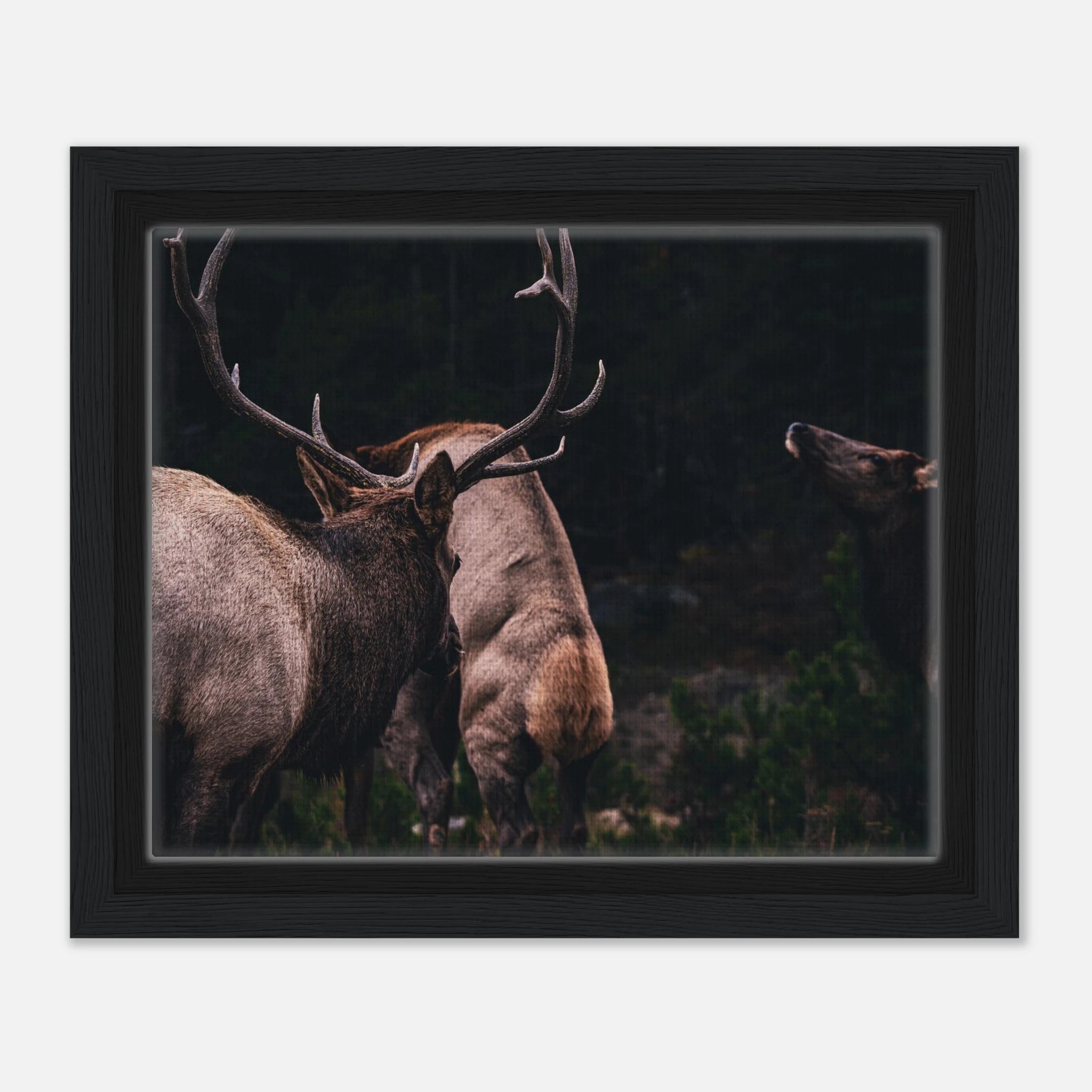 e97f7e2b-38e4-44bd-b1d3-552f6e7fd357