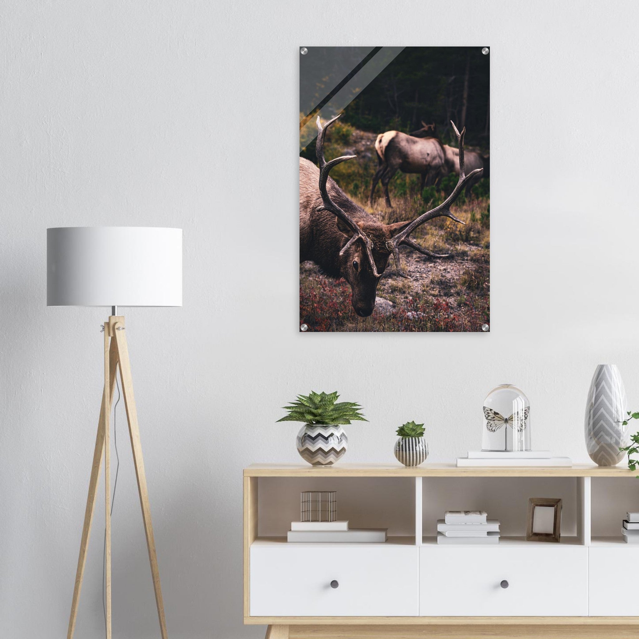 e9a47c70-a643-4947-bf9d-a394c427c288