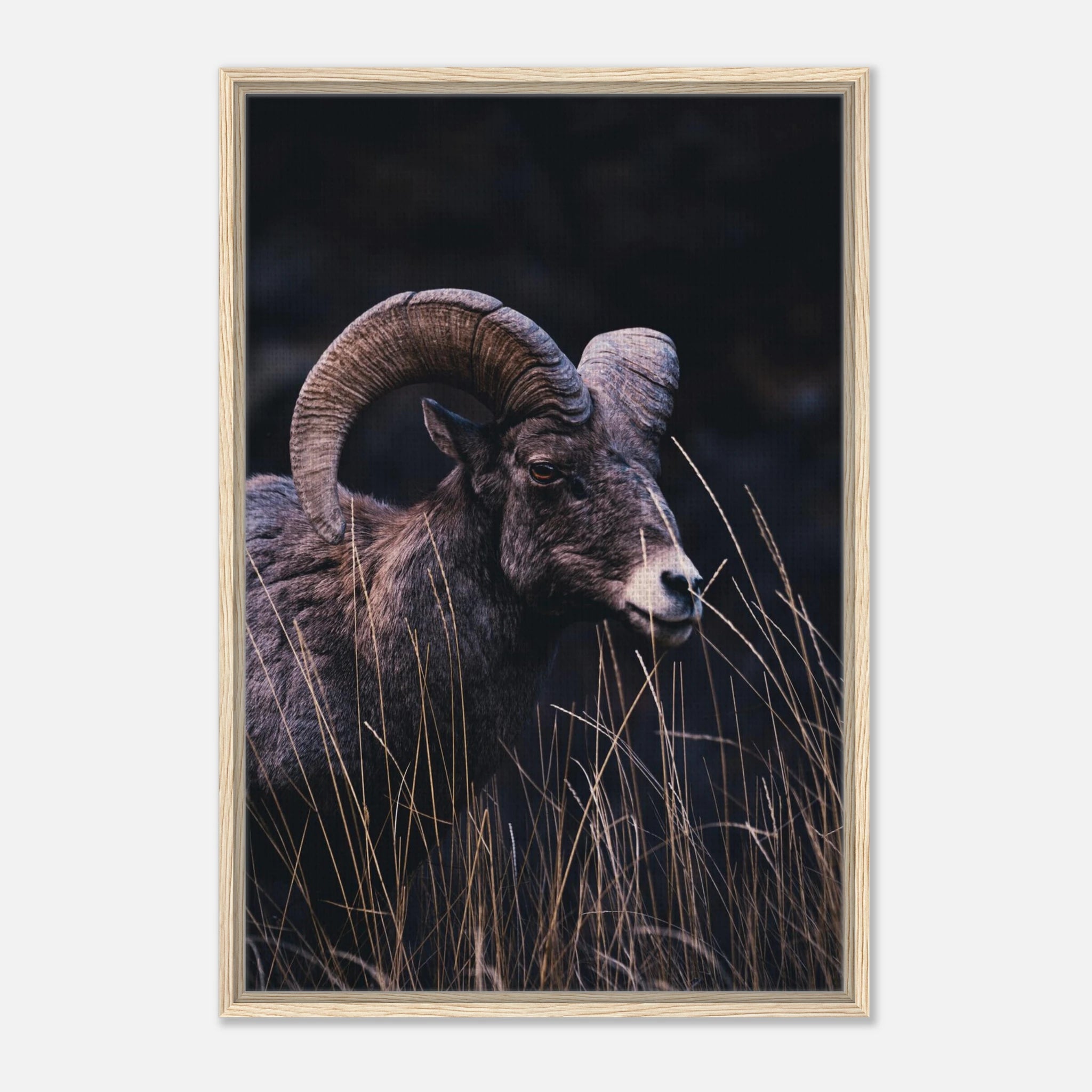 ea39cd77-141e-4c86-8ff5-409b4a24823b