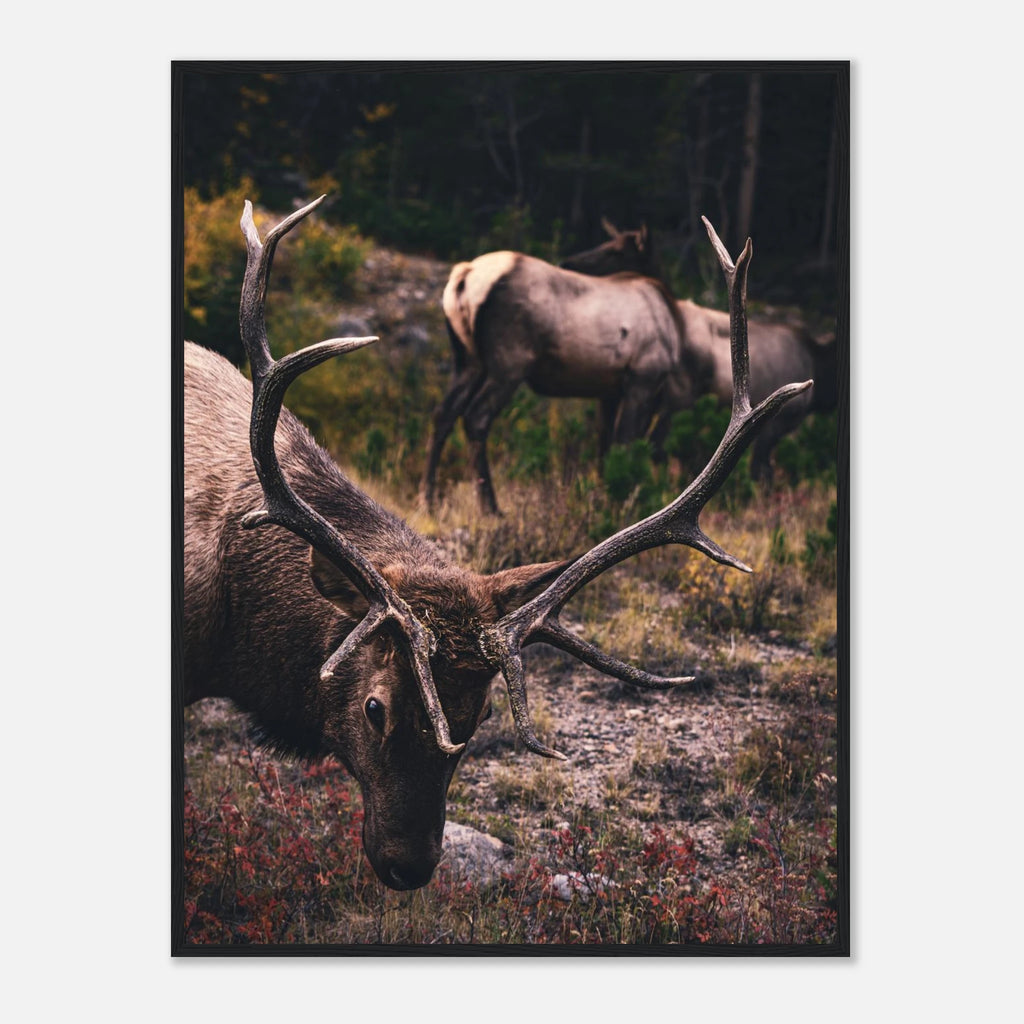 eae51a6d-ab45-42fa-a29b-fabcbedb49ea