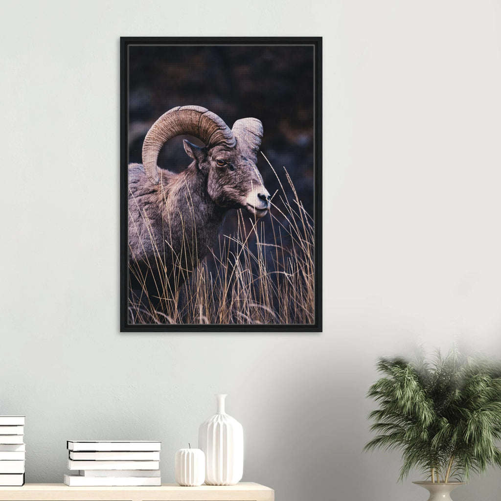 eb04546e-b6ba-457f-a4f0-b52507a4b218