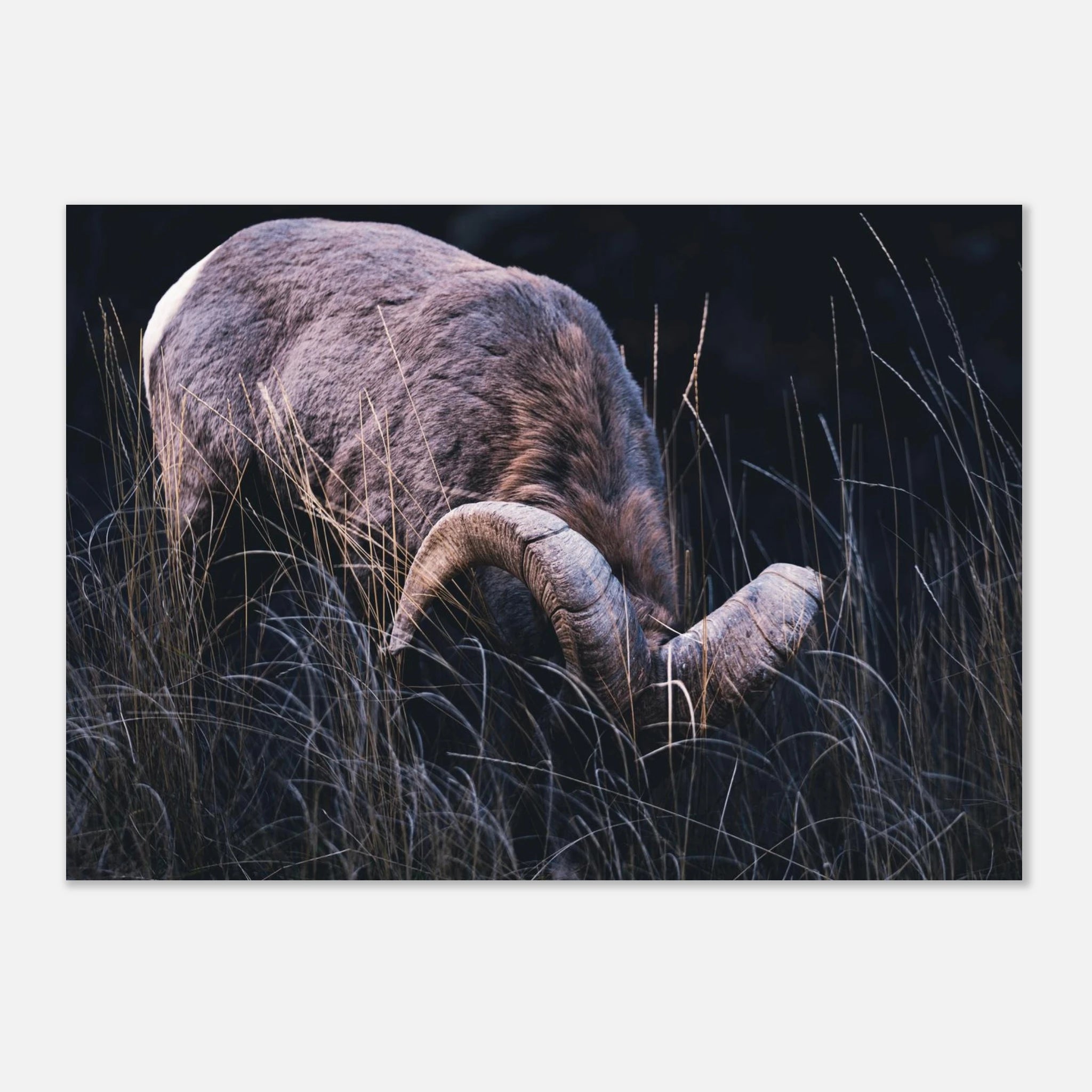 eb144dcd-ea47-4139-a728-00f261edbc82