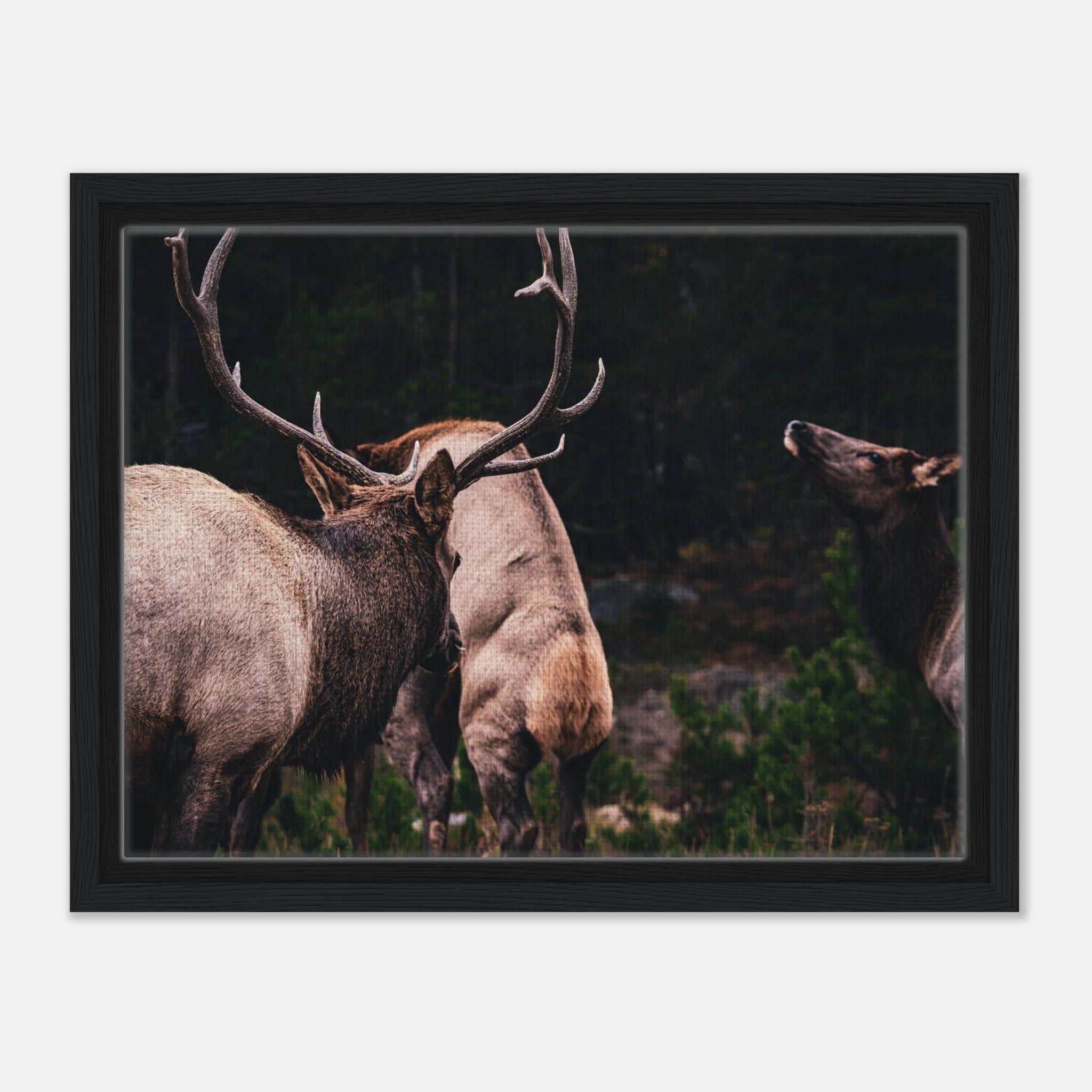 eb25d553-f94d-426b-be17-a3fb26e709fa