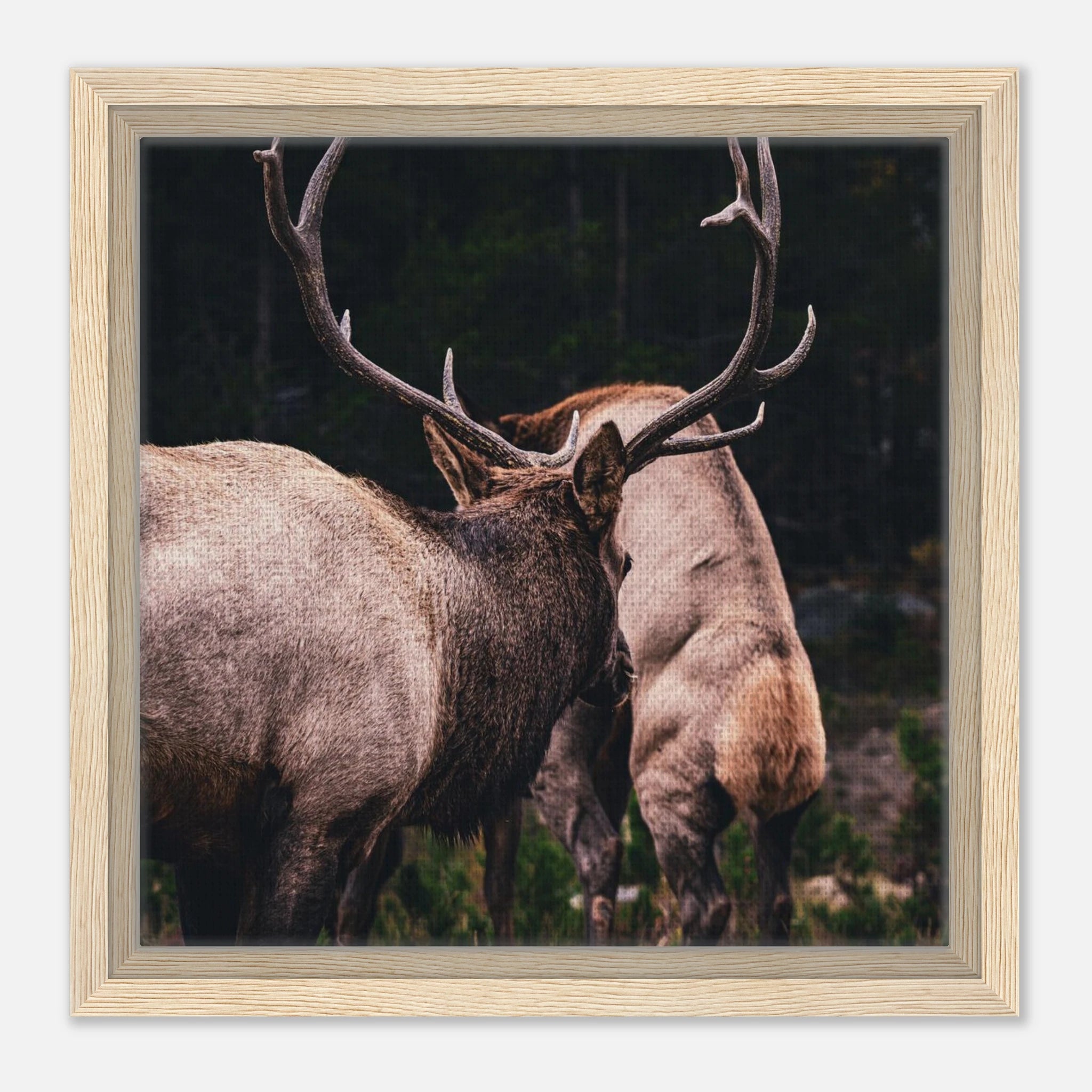 eb5d83a1-ba43-4ff3-a946-02d8fed72346