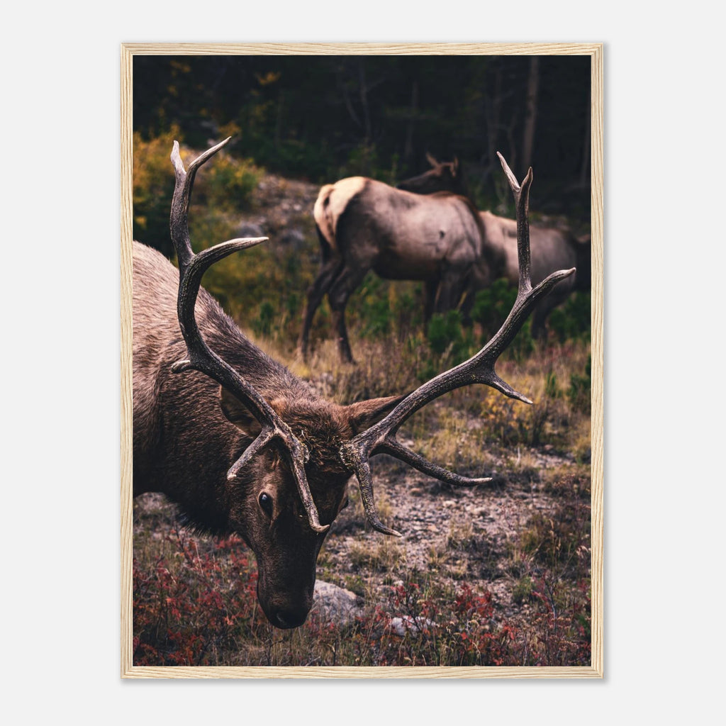 ebf33cae-f46f-48c5-abdb-ee720f337fc7