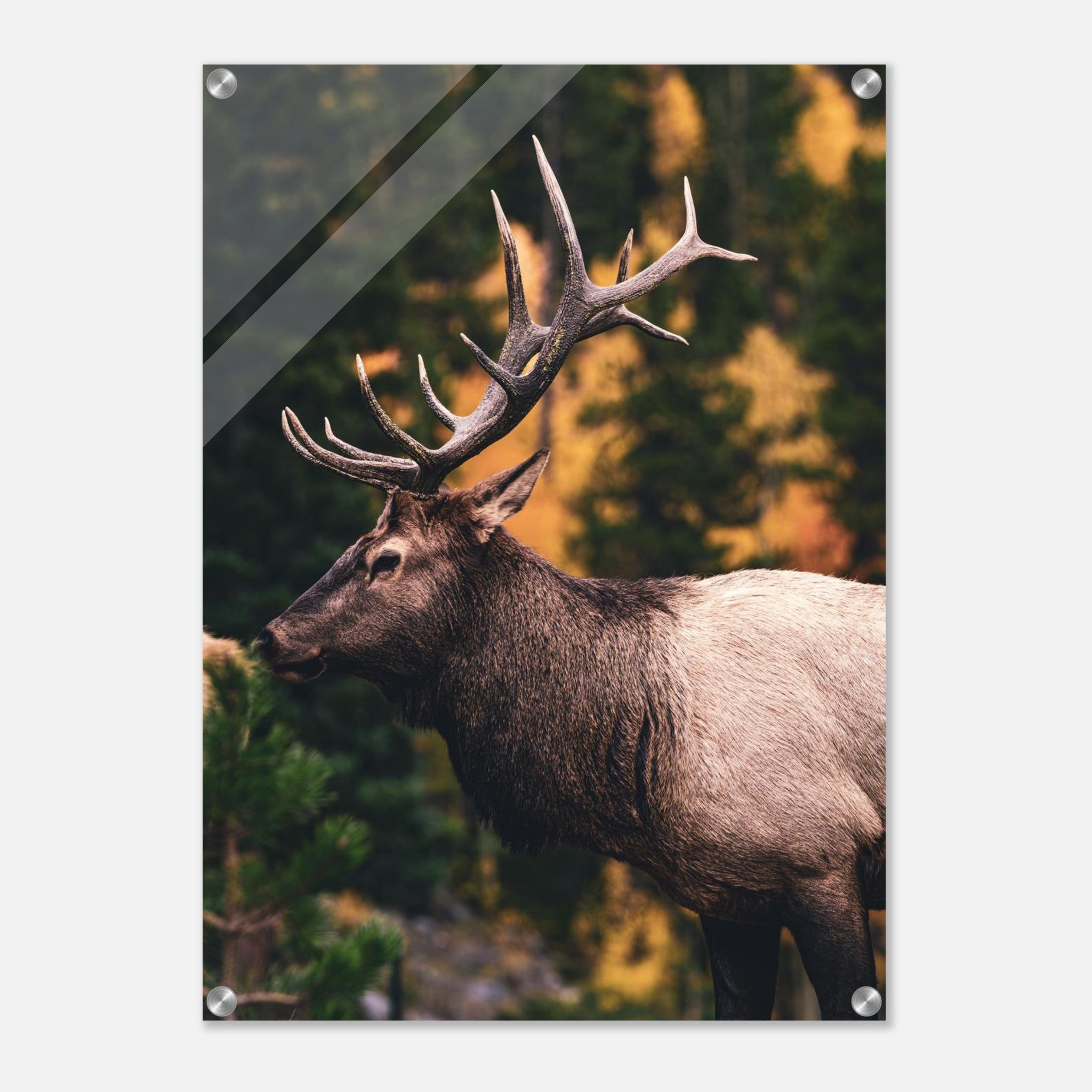 ef4a86f0-67ce-415f-9961-c9b717a9fa24