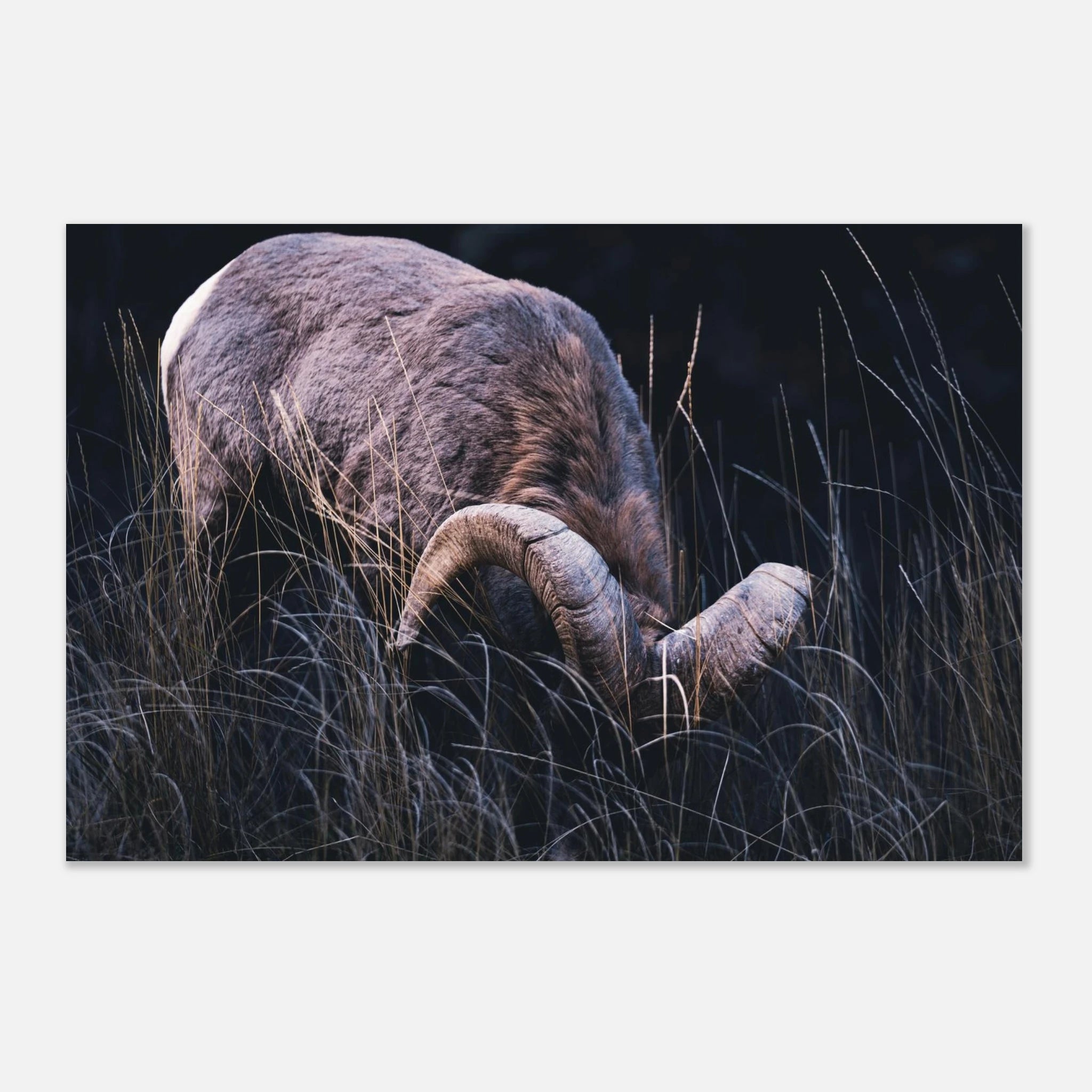 ef5330e5-43c0-4300-9bf0-0bac6dbfba04