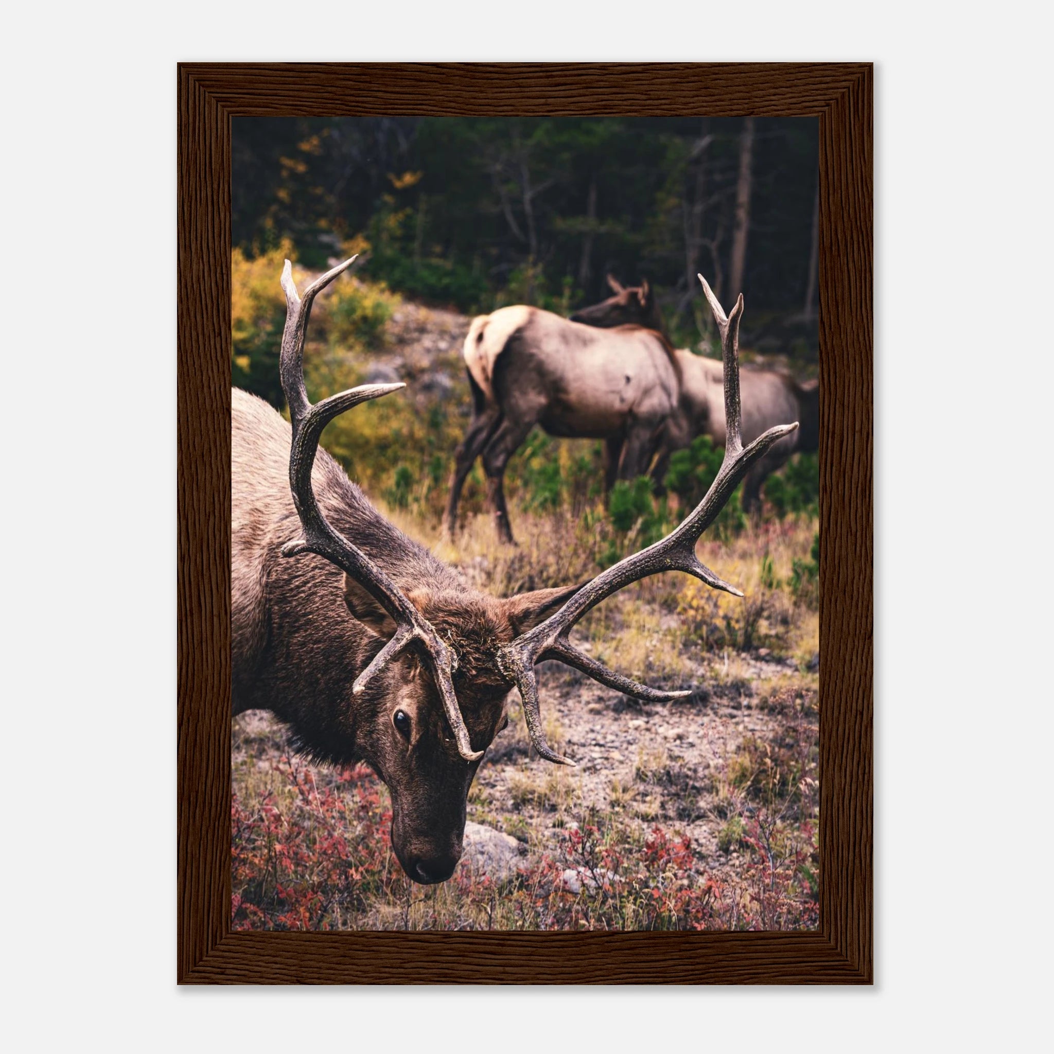 f04c9e98-ee7b-47b5-b026-99b872214469