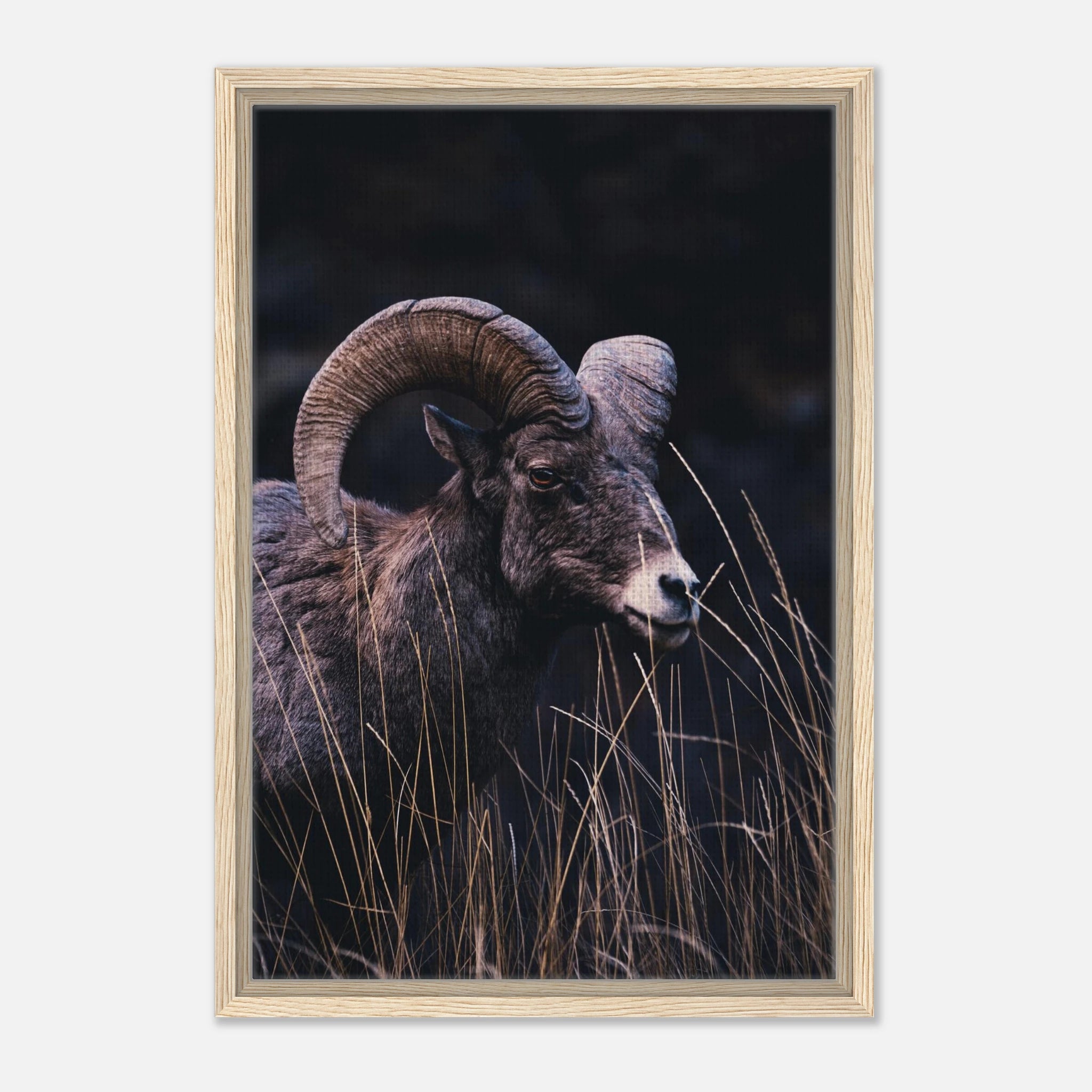 f0519d8c-9a37-4d26-9292-4cad7407aa54