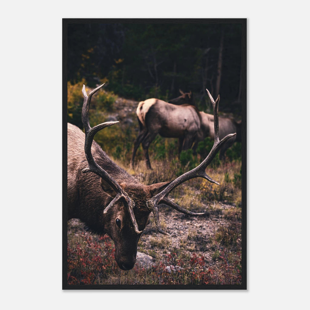 f07517d0-d6b4-4214-b138-bac5ecc7d9eb