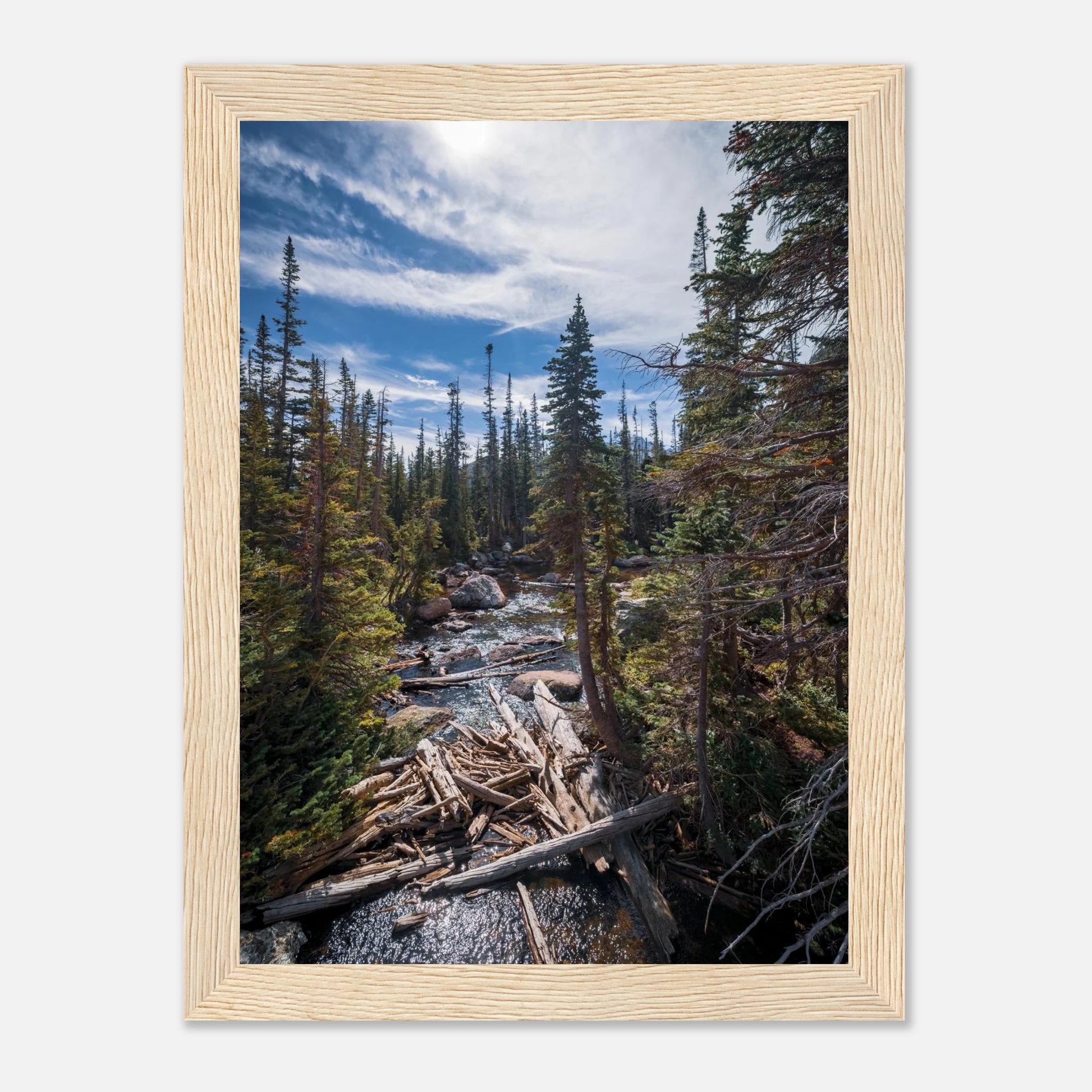 f08c887a-a6b7-4461-82a3-98f1455f3a3a