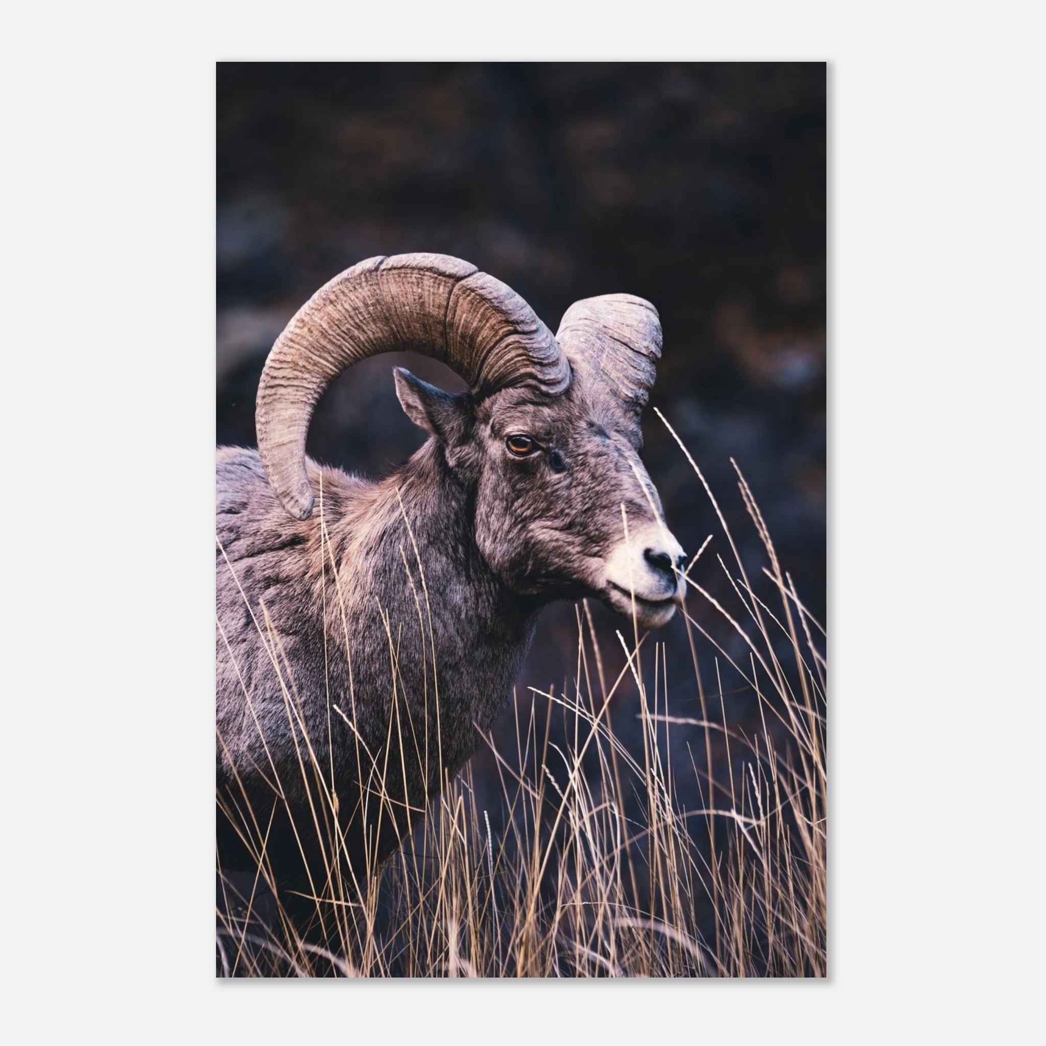 f1457b72-33d4-41d9-af8c-da1fbff78b5b