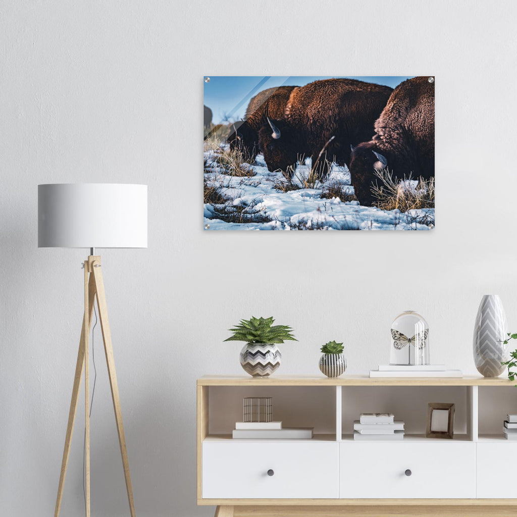 f19bd2cb-b9f5-4925-90bc-e21a47d6f6c5