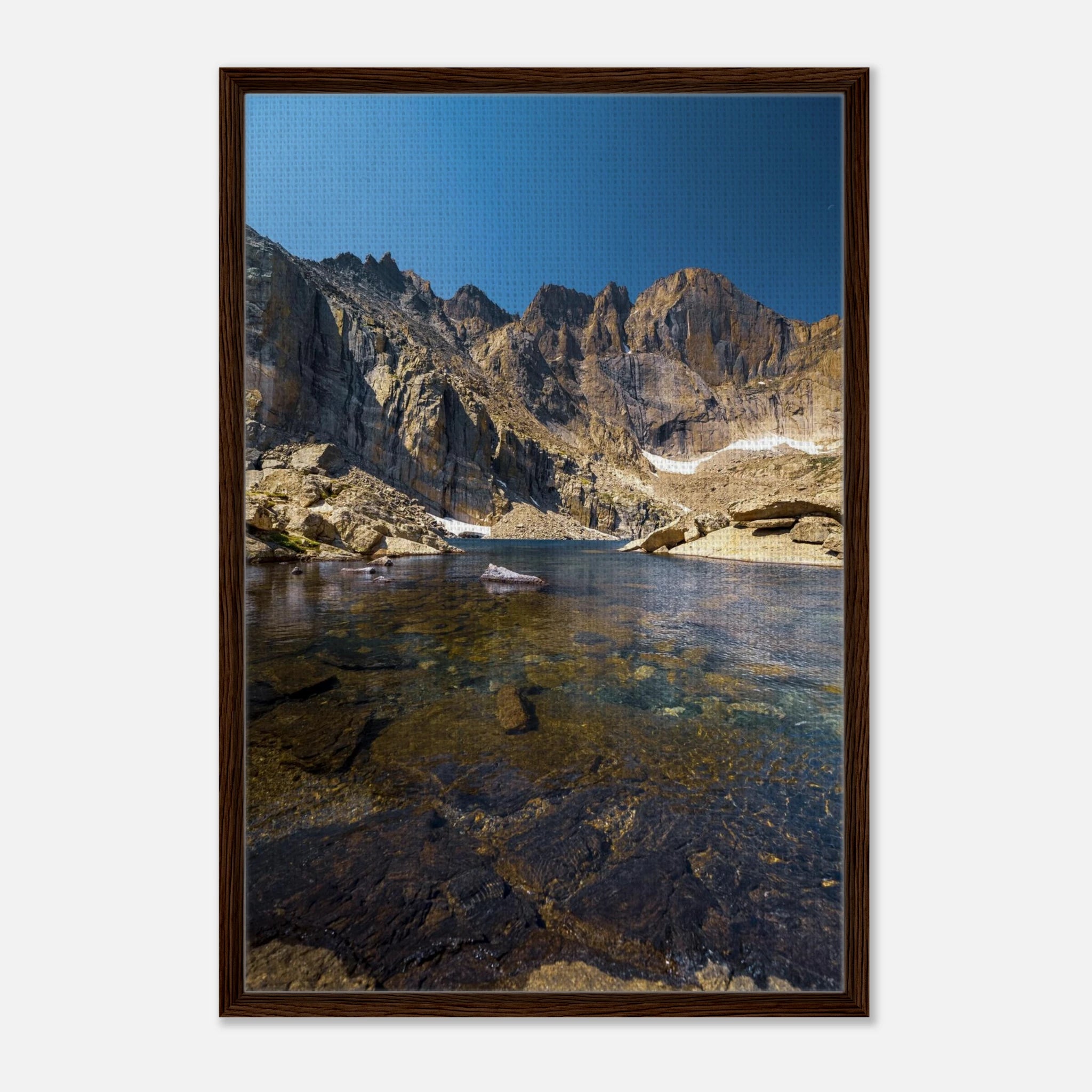 f48fdb8d-0e4e-4a1b-8cf6-610ea0fc40de