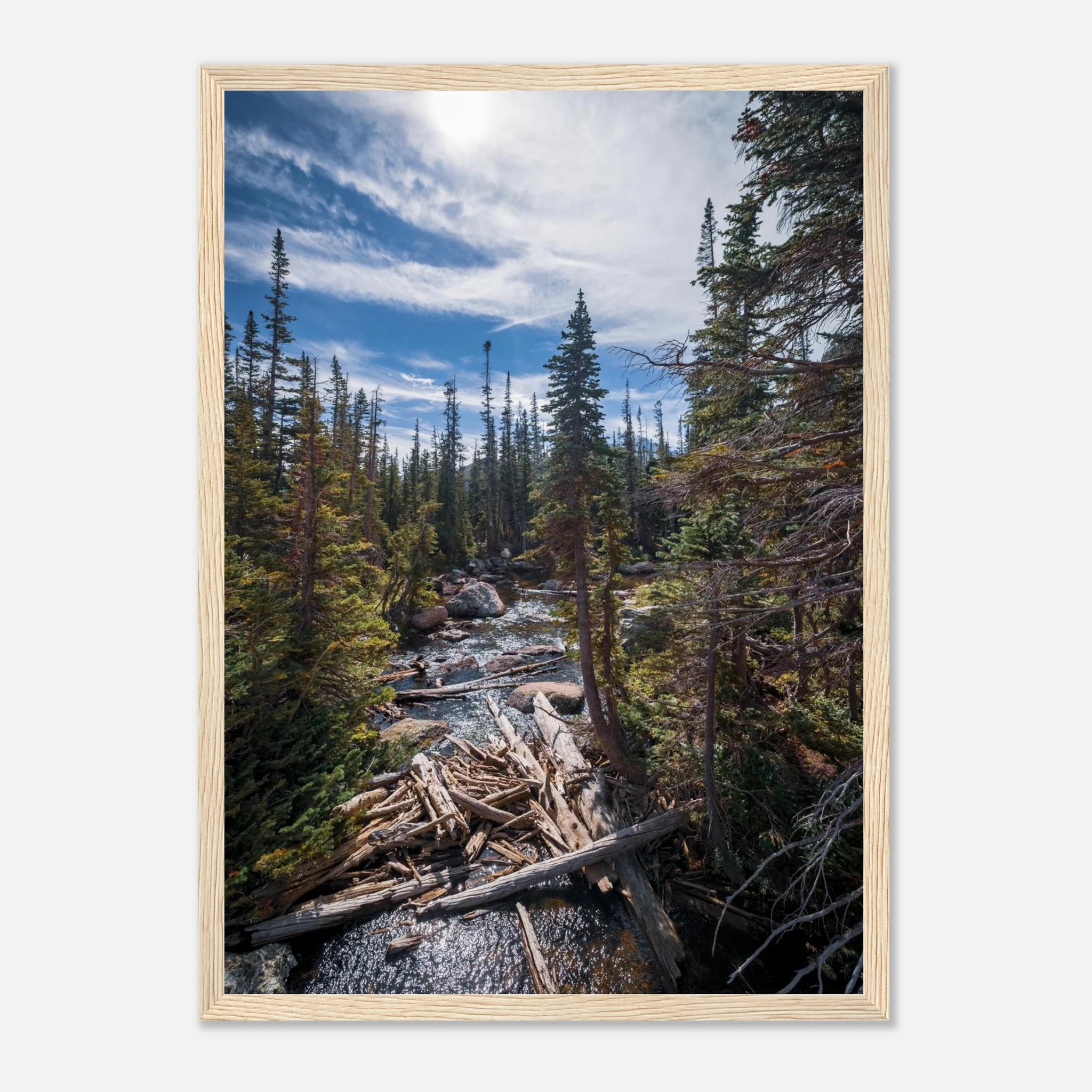 f4dca9b1-ae0f-44bf-b6aa-a10fc92f09ae