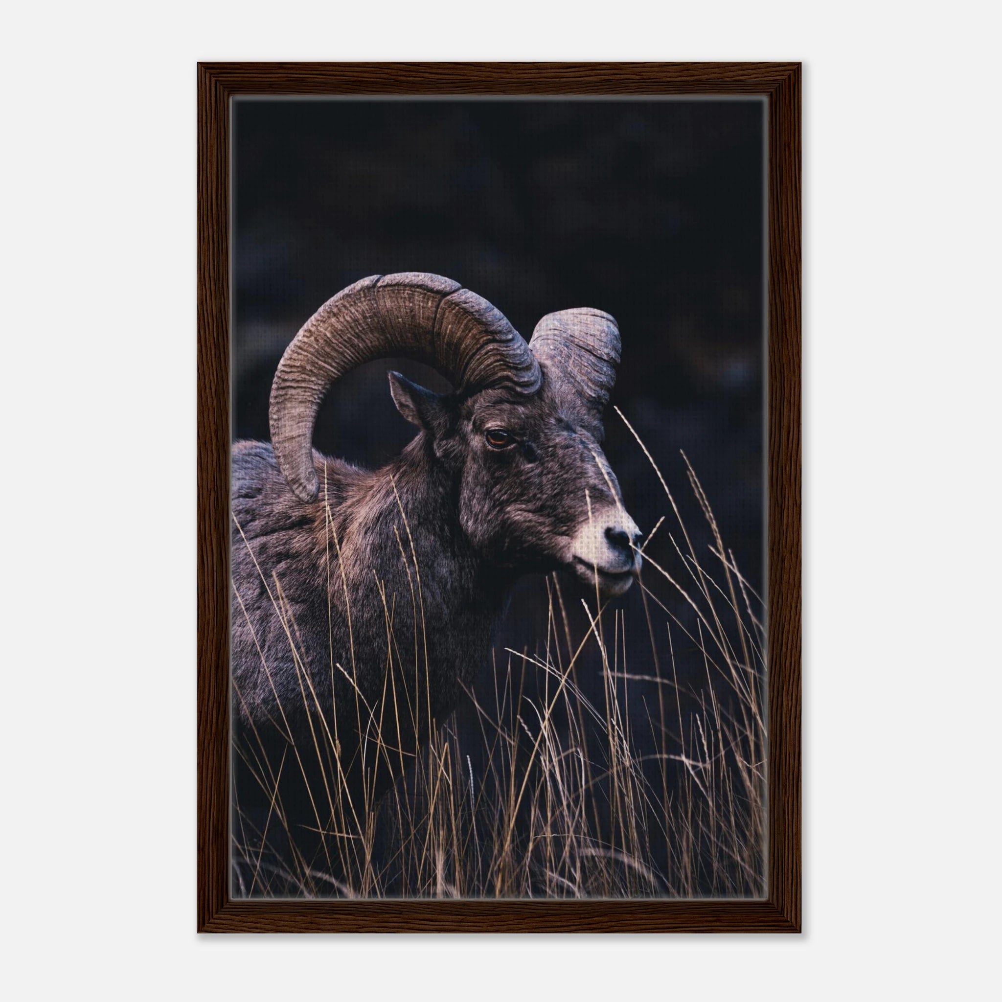 f5aca25d-f48d-45e8-830f-48b48c639310