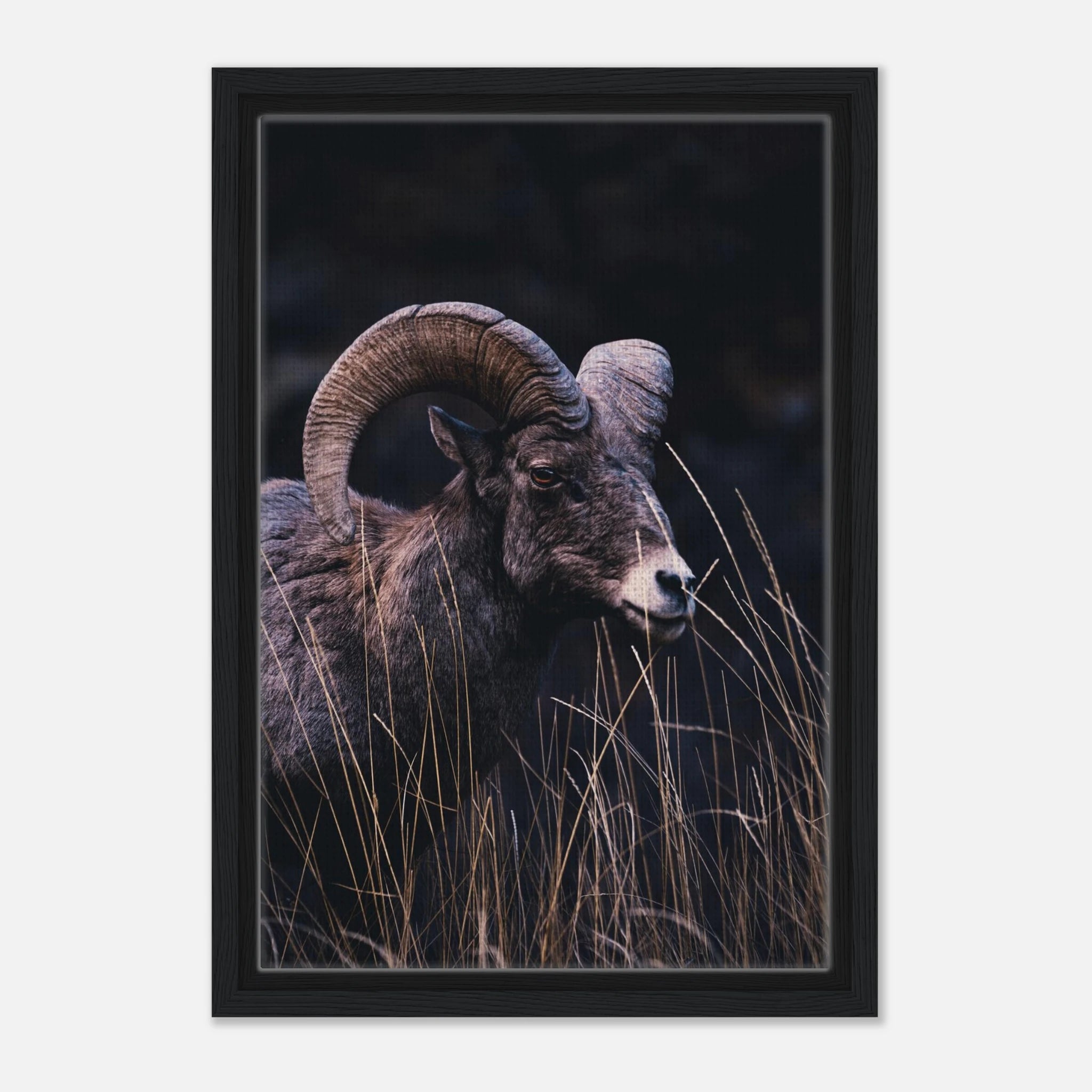 f642e512-5675-4730-8161-9d6ef37f91aa