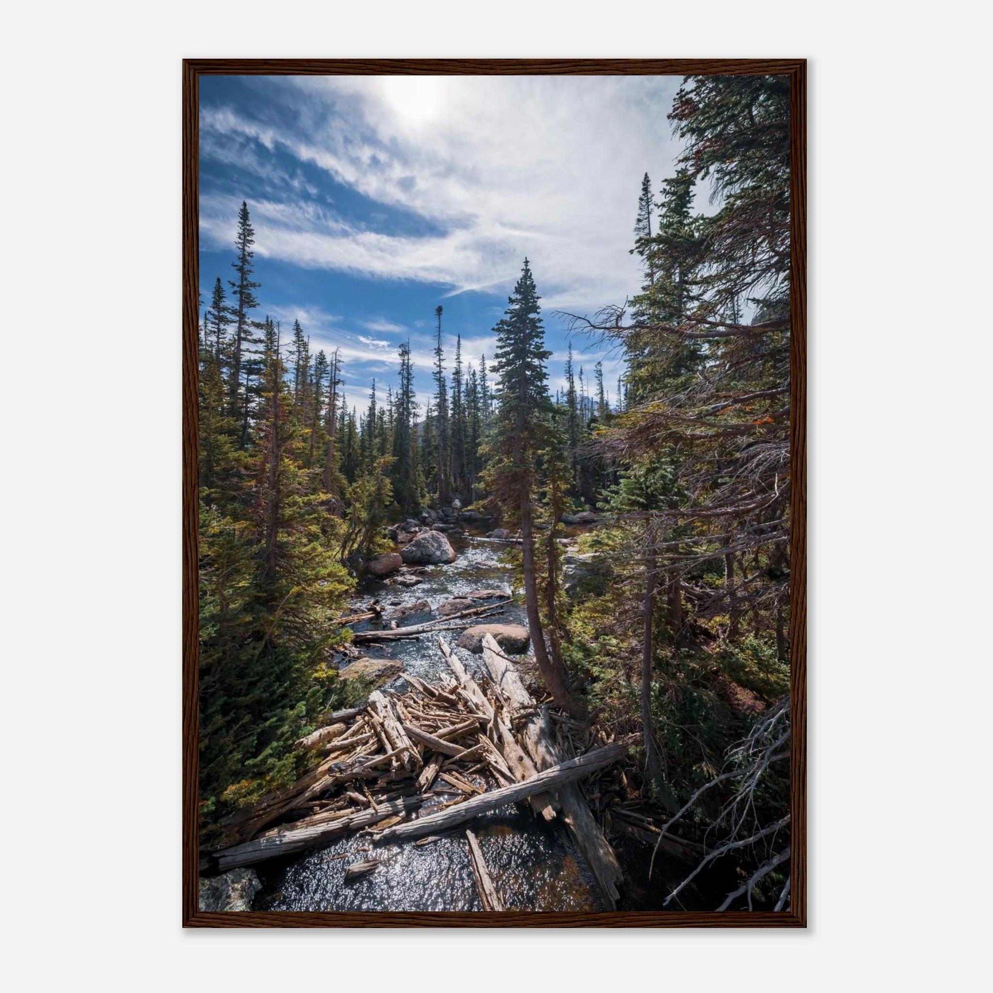 f781b6ce-e5b0-4ac1-ab05-e6559372a604